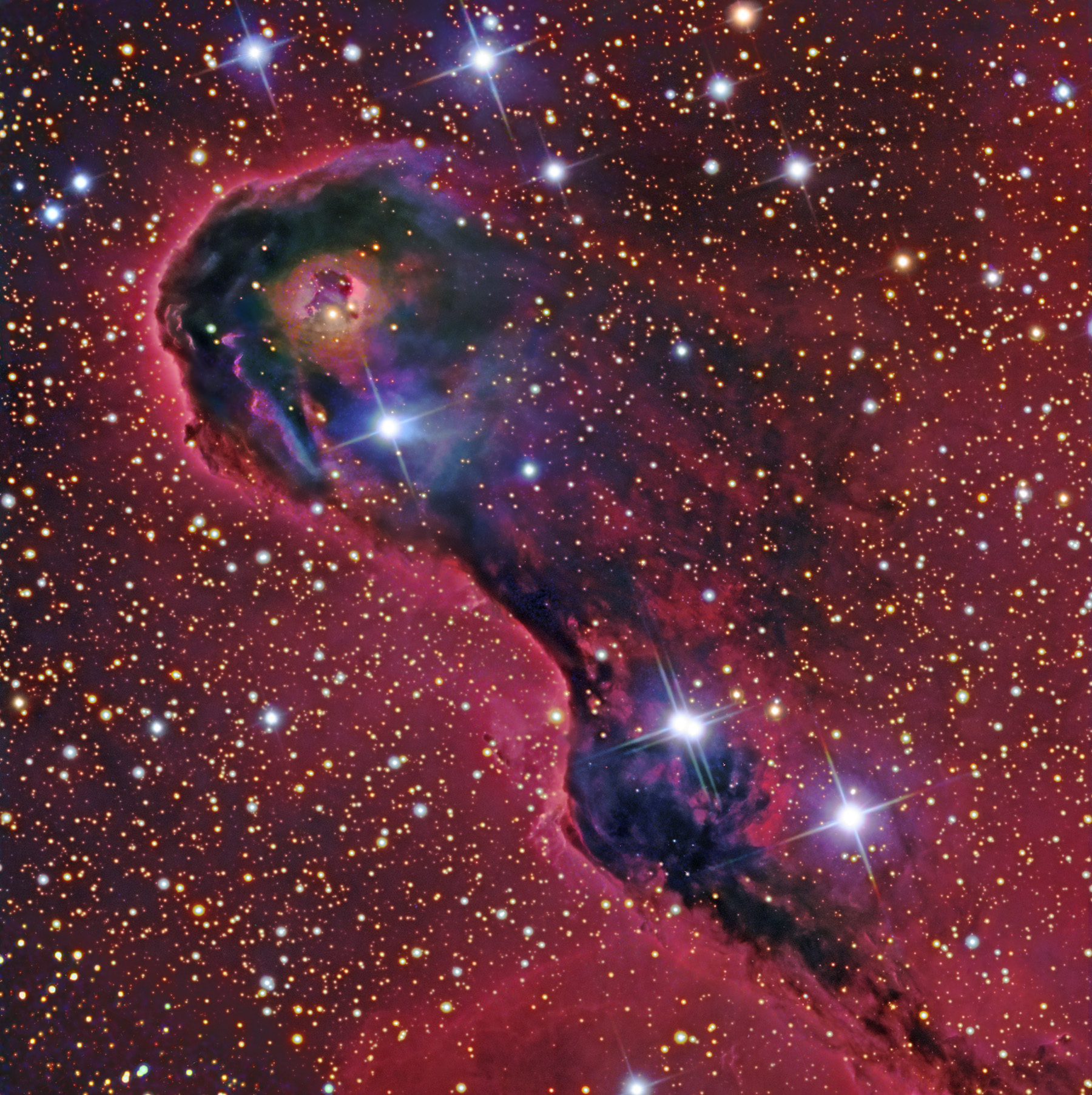 An Elephant's Trunk in Cepheus