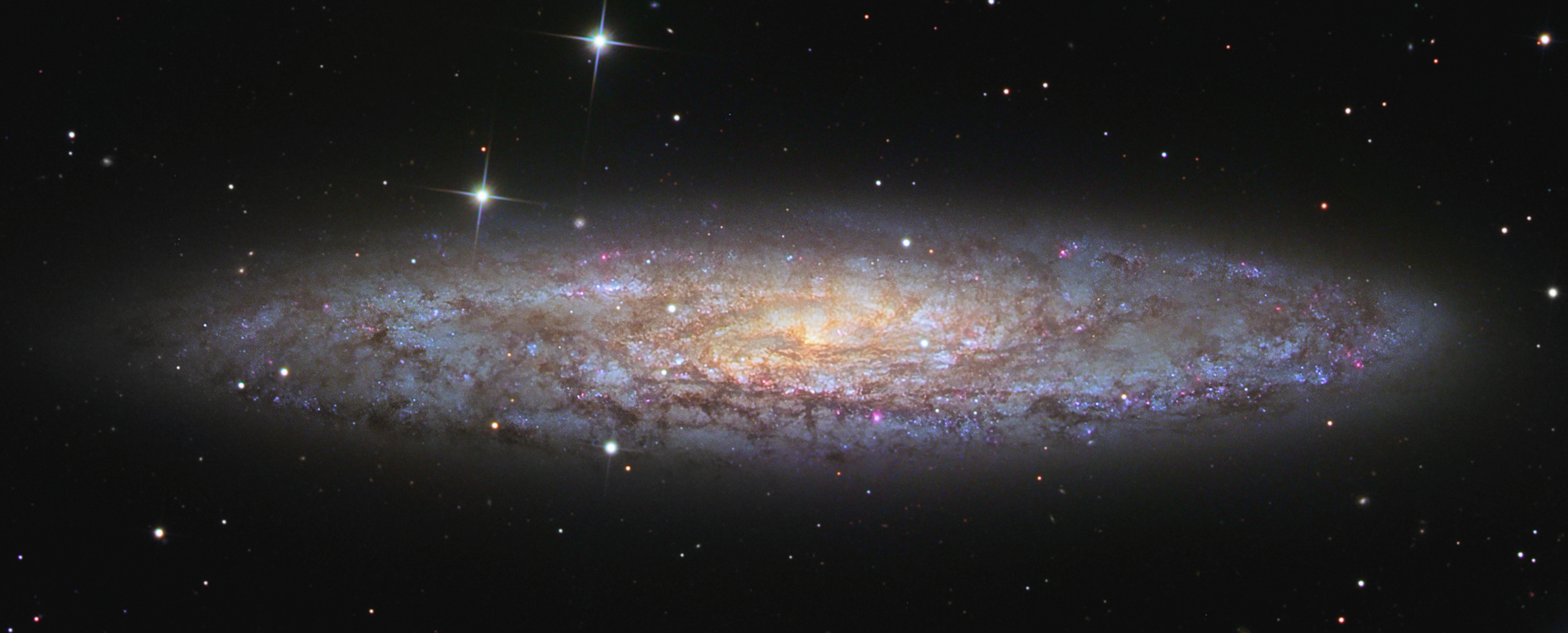NGC 253: Dusty Island Universe