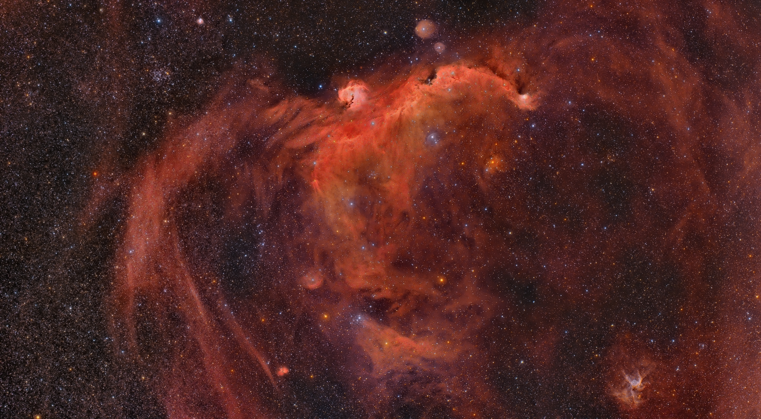 The Seagull and the Duck