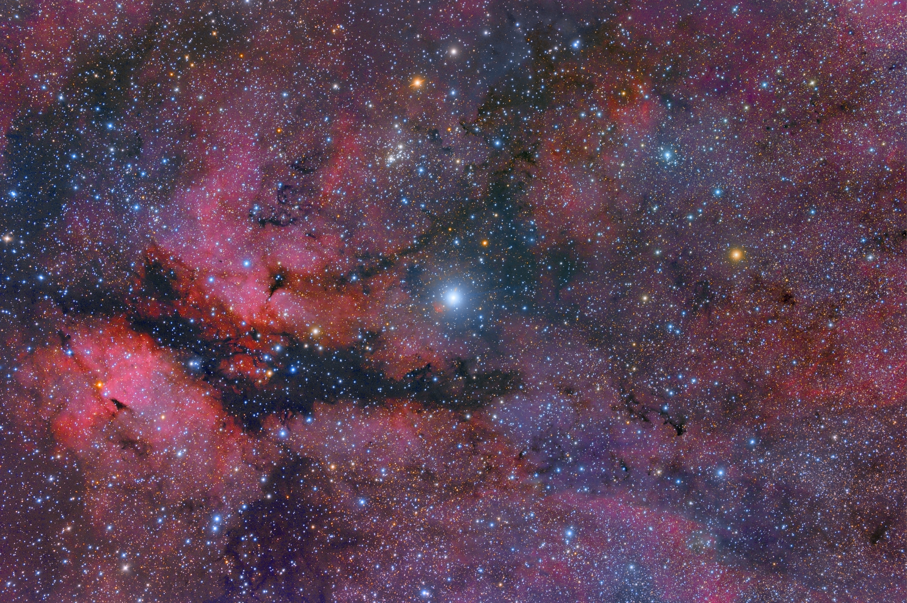 Central Cygnus Skyscape