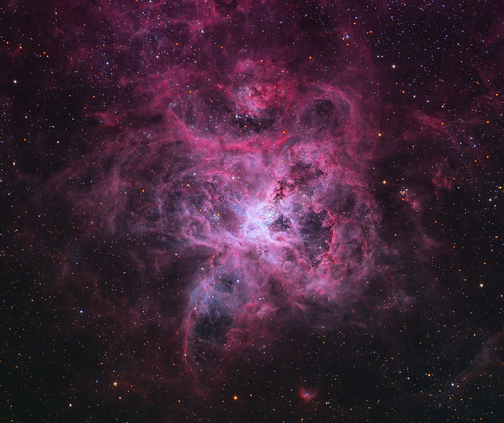 The Tarantula Nebula