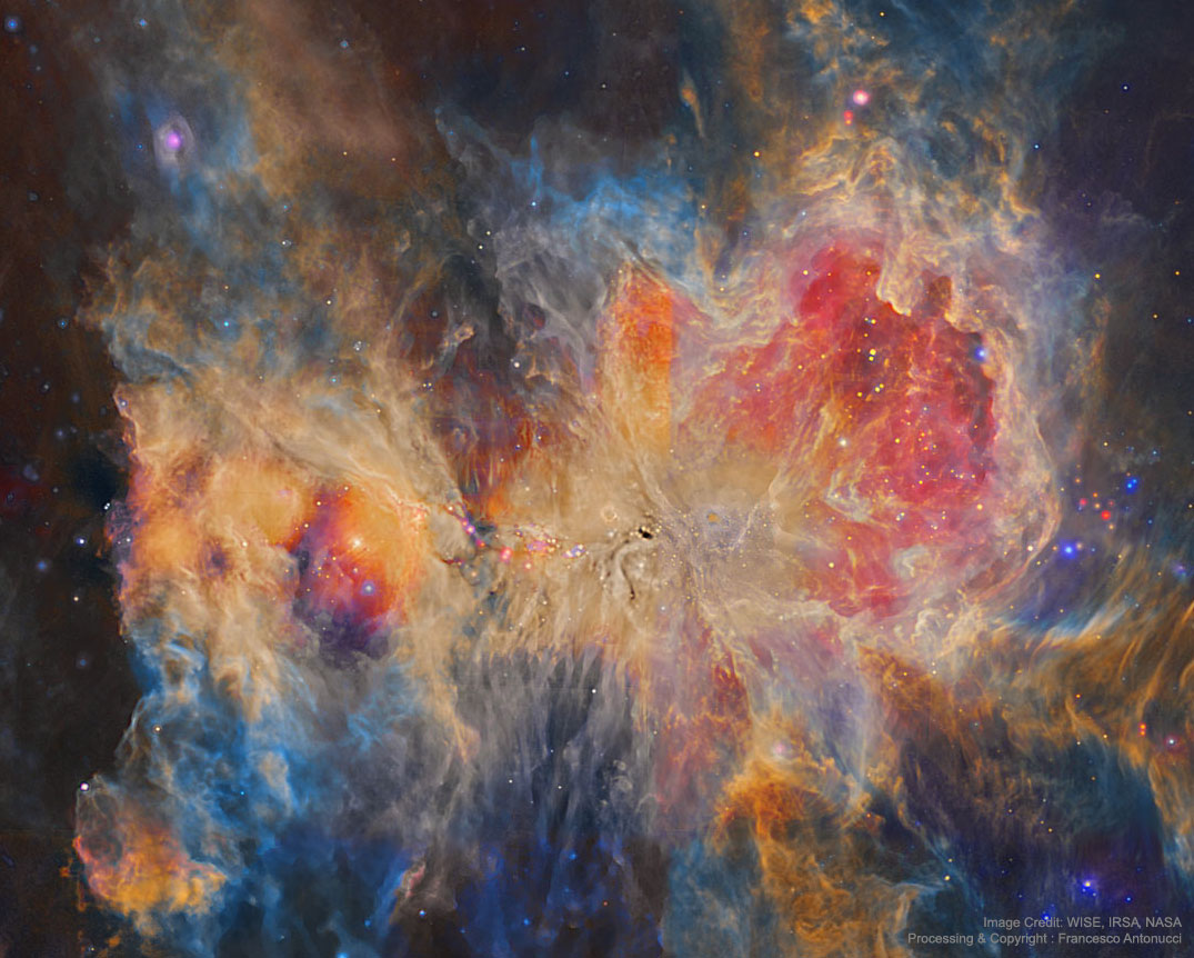 The Orion Nebula in Infrared from WISE