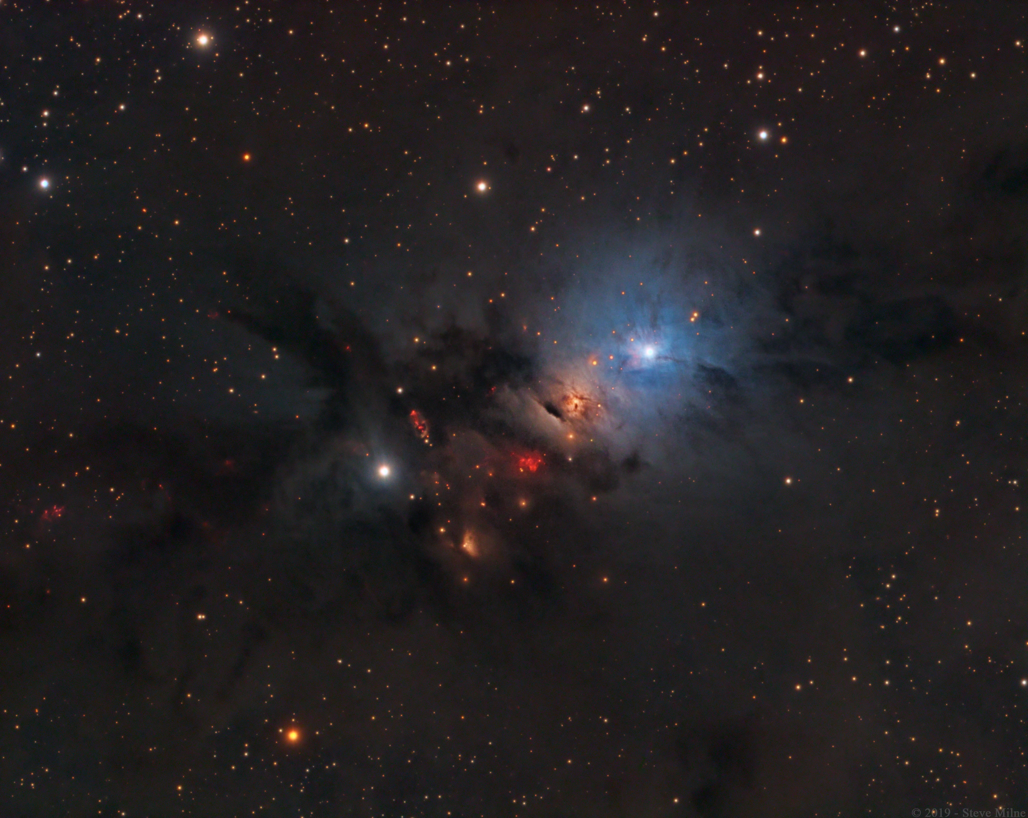 NGC 1333: Stellar Nursery in Perseus
