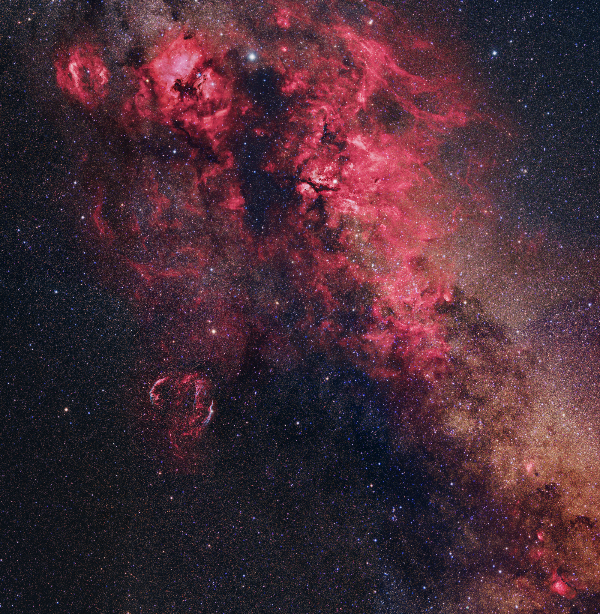 Cygnus Skyscape