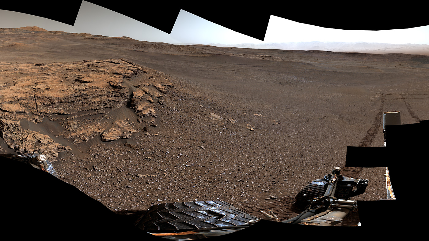 Curiosity at Teal Ridge