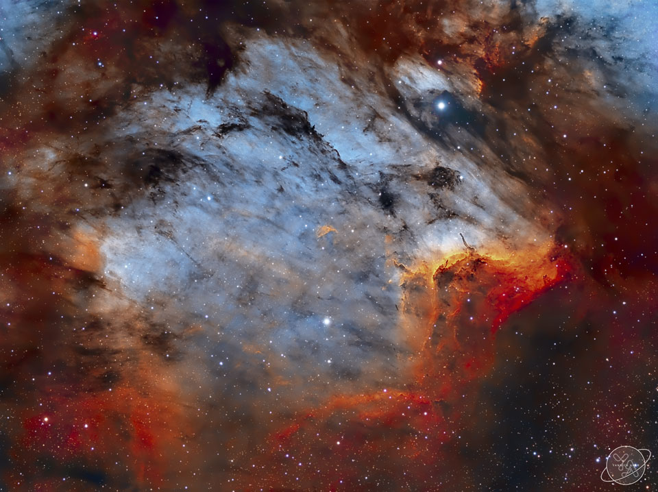 The Pelican Nebula in Gas, Dust, and Stars