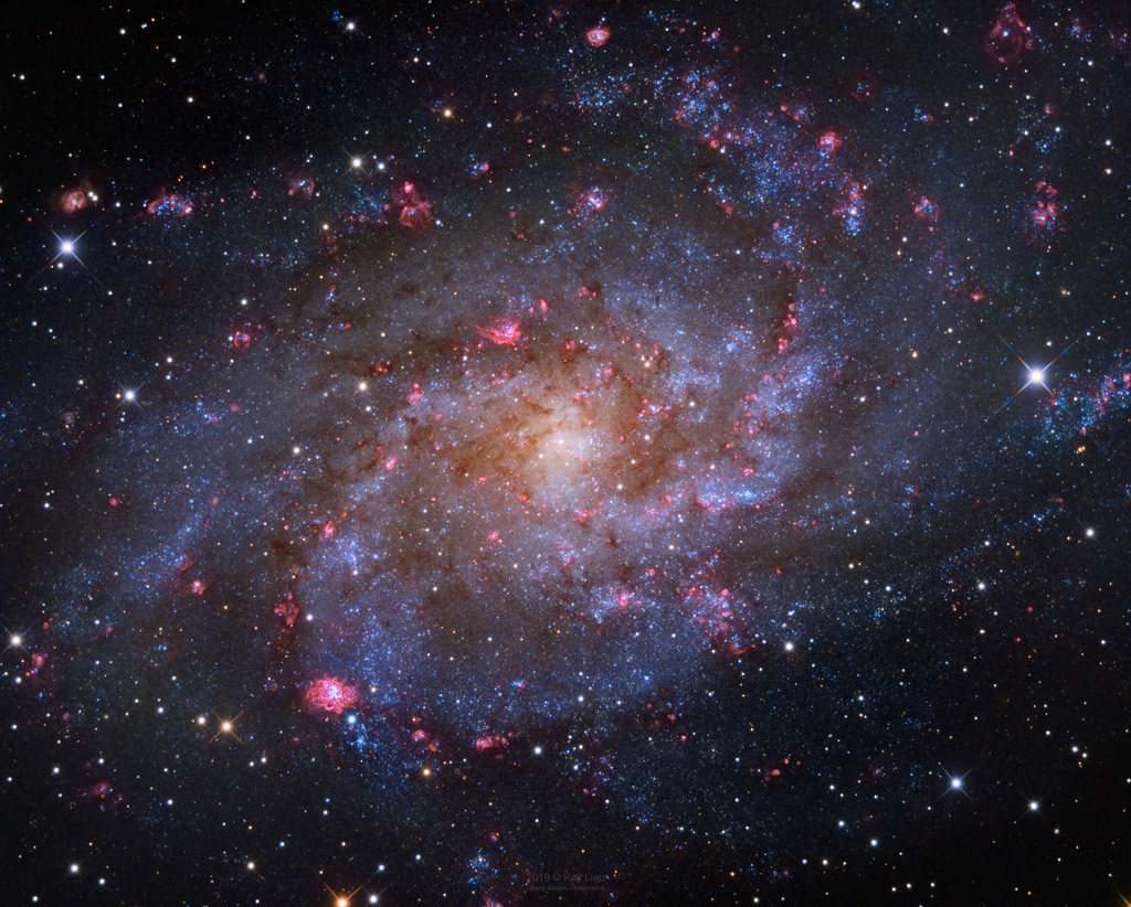 M33: The Triangulum Galaxy