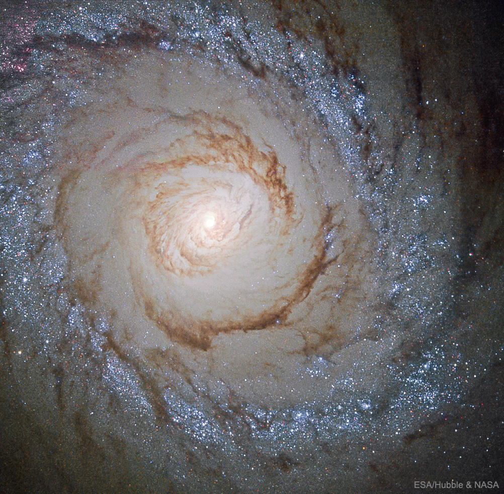 Starburst Galaxy M94 from Hubble