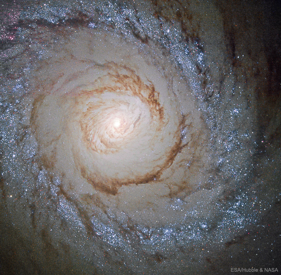 Starburst Galaxy M94 from Hubble