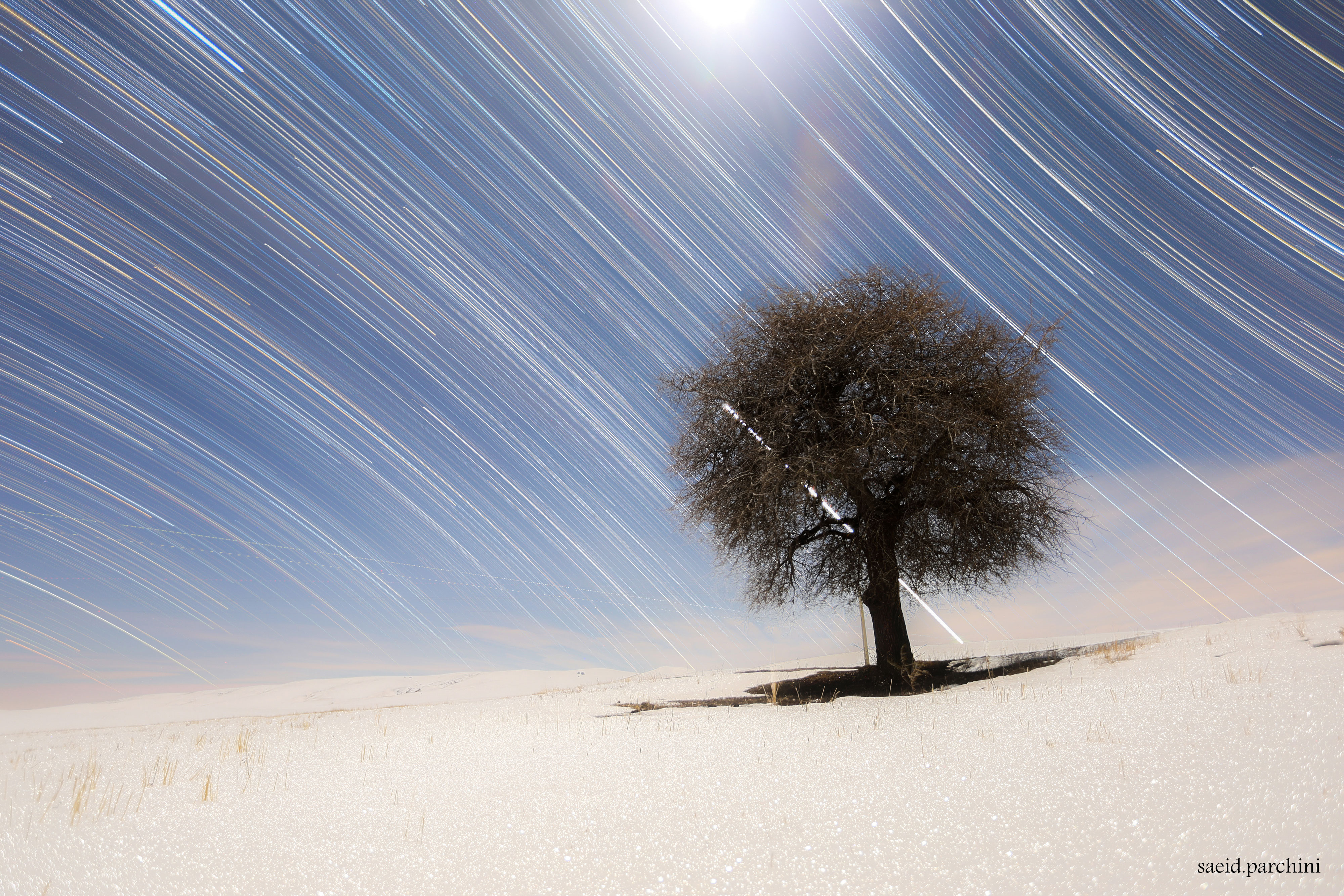 Star Trails of the North and South