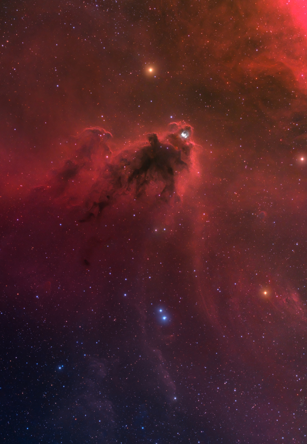 LDN 1622: Dark Nebula in Orion