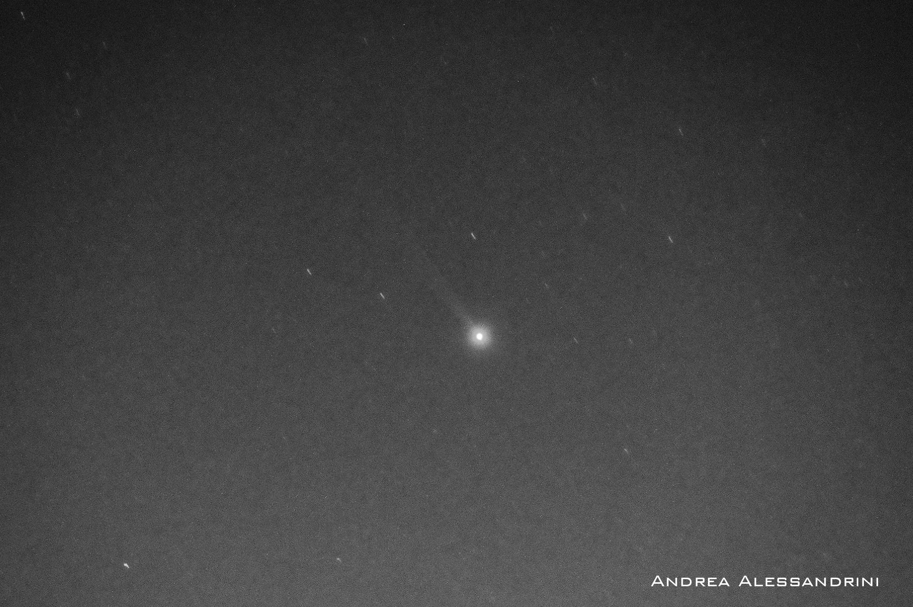 Mercury's Sodium Tail