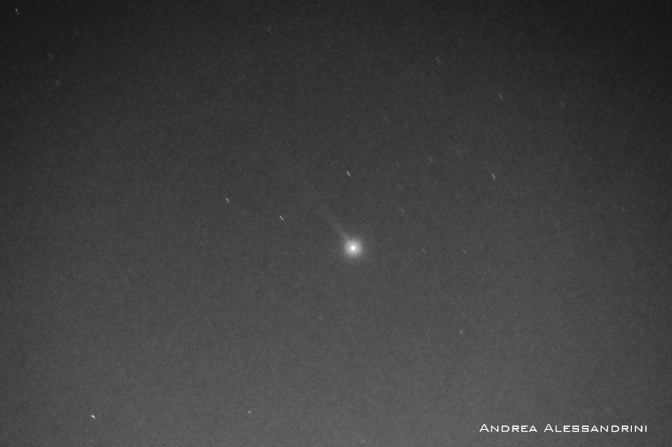 Mercury's Sodium Tail