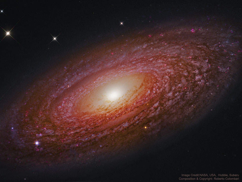 Massive Nearby Spiral Galaxy NGC 2841