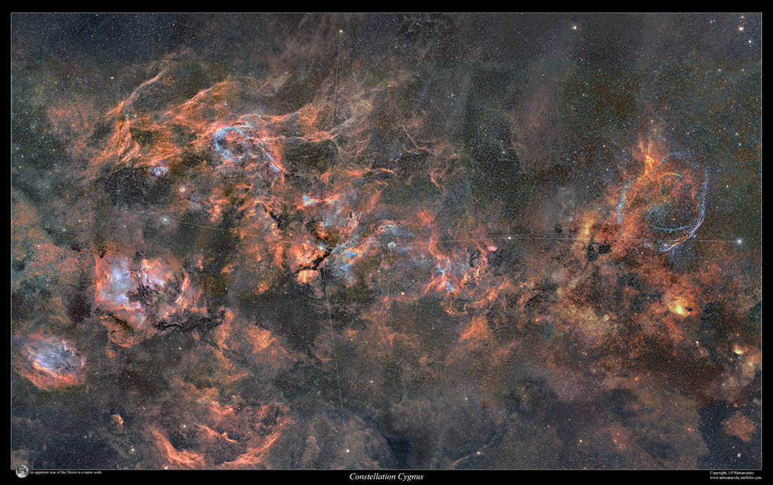 Cygnus Mosaic 2010 - 2020