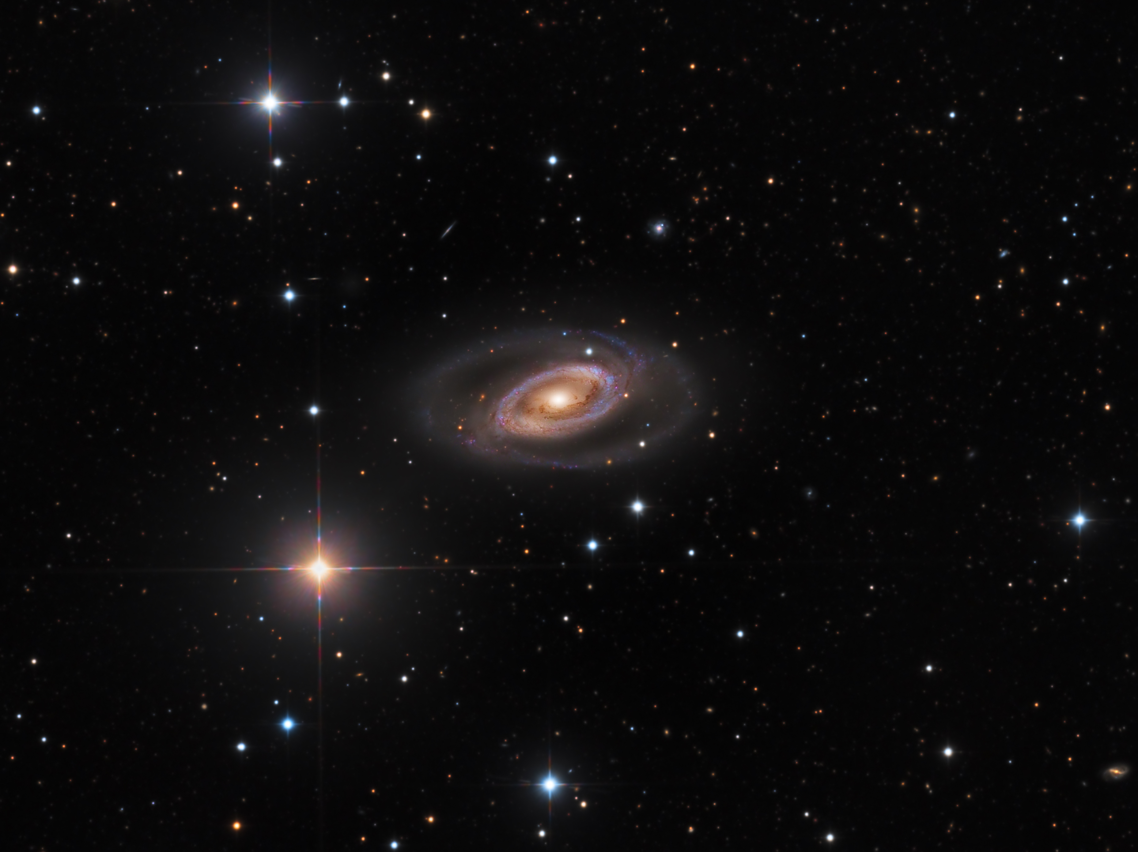 Spiral Galaxy NGC 1350
