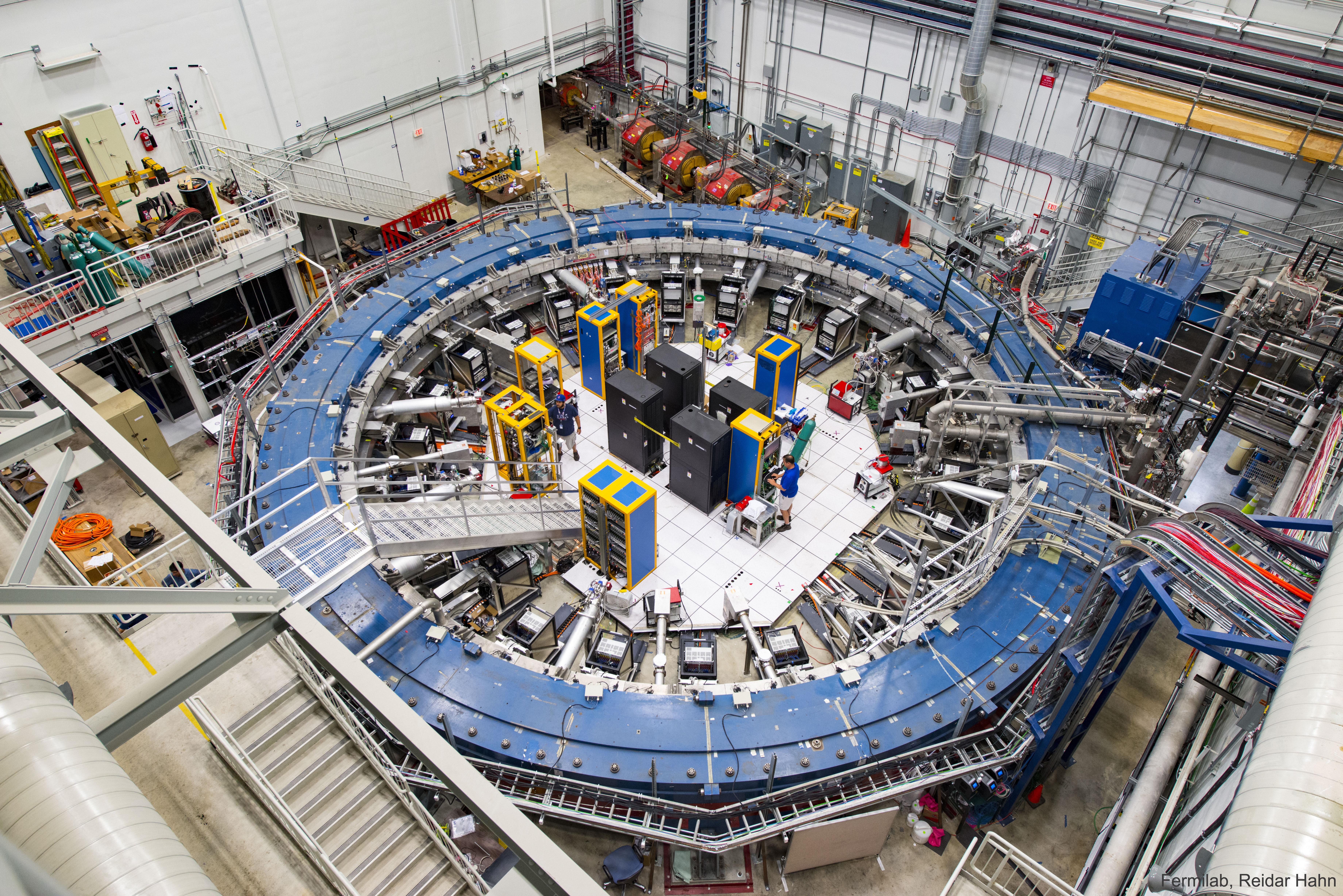 Confirmed Muon Wobble Remains Unexplained