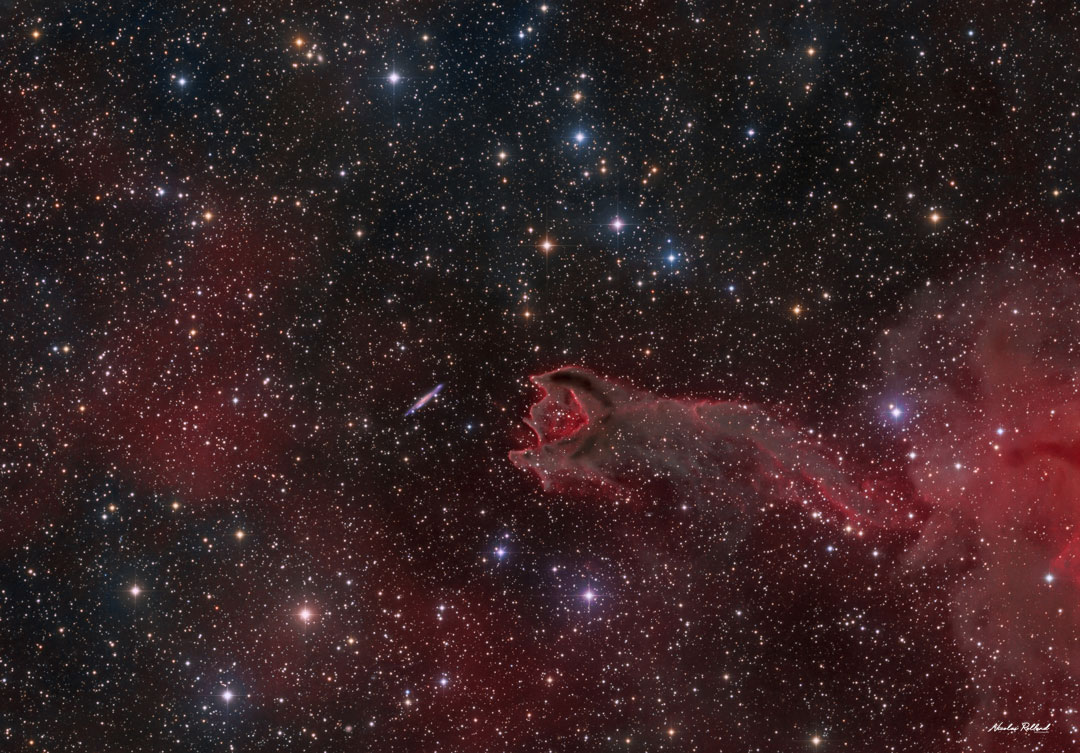 CG4: A Ruptured Cometary Globule
