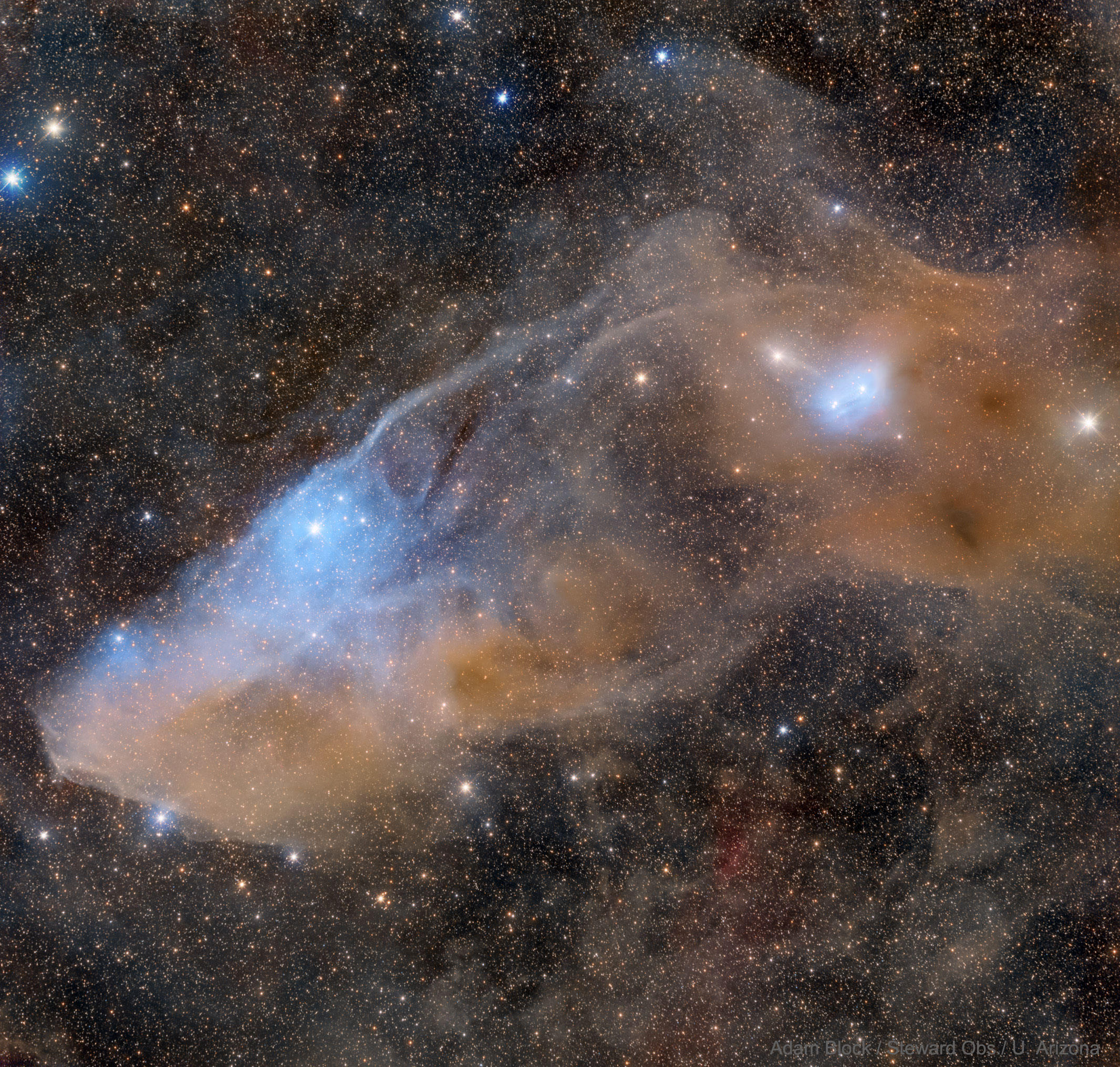 IC 4592: The Blue Horsehead Reflection Nebula