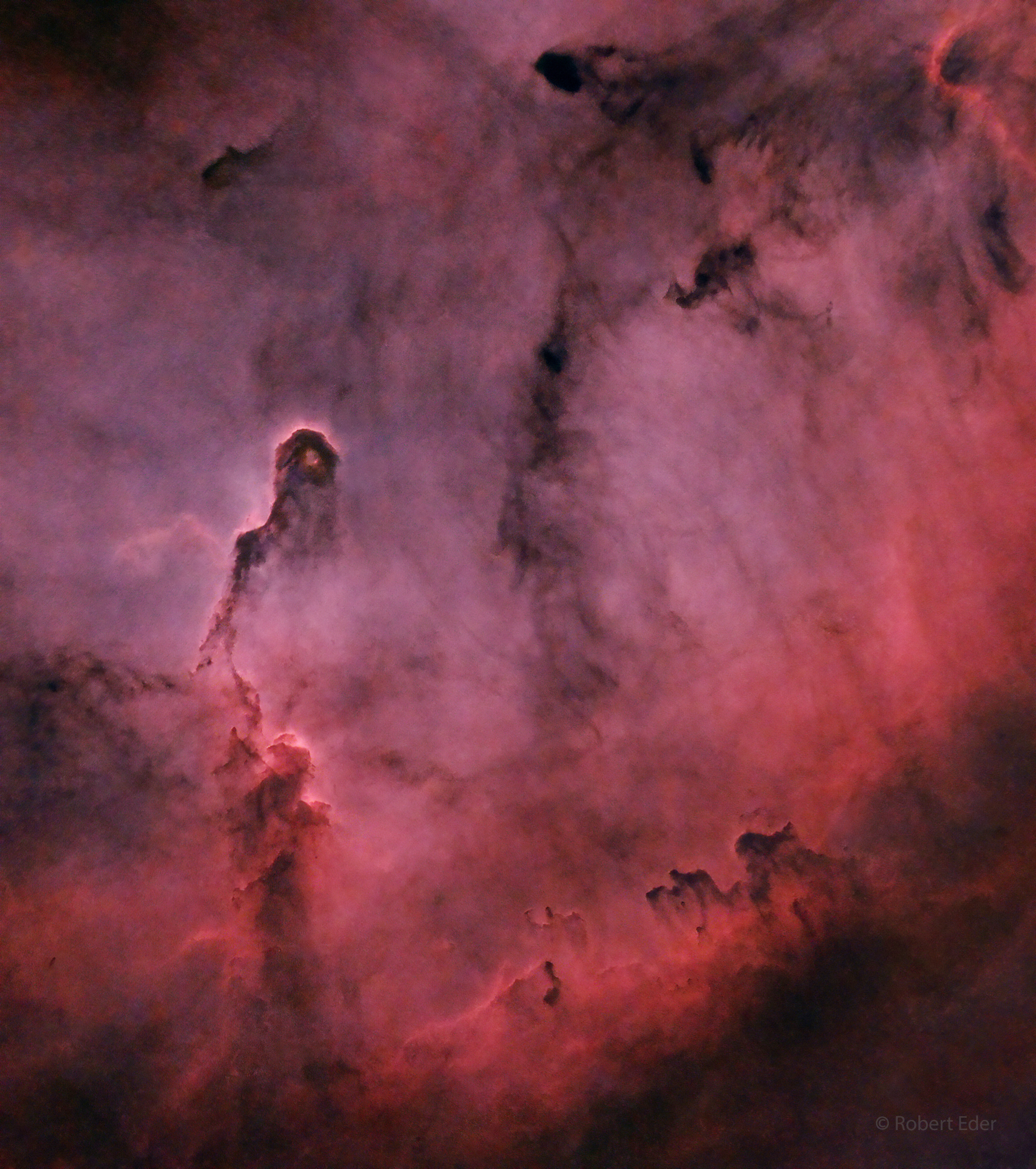 Elephant's Trunk and Caravan