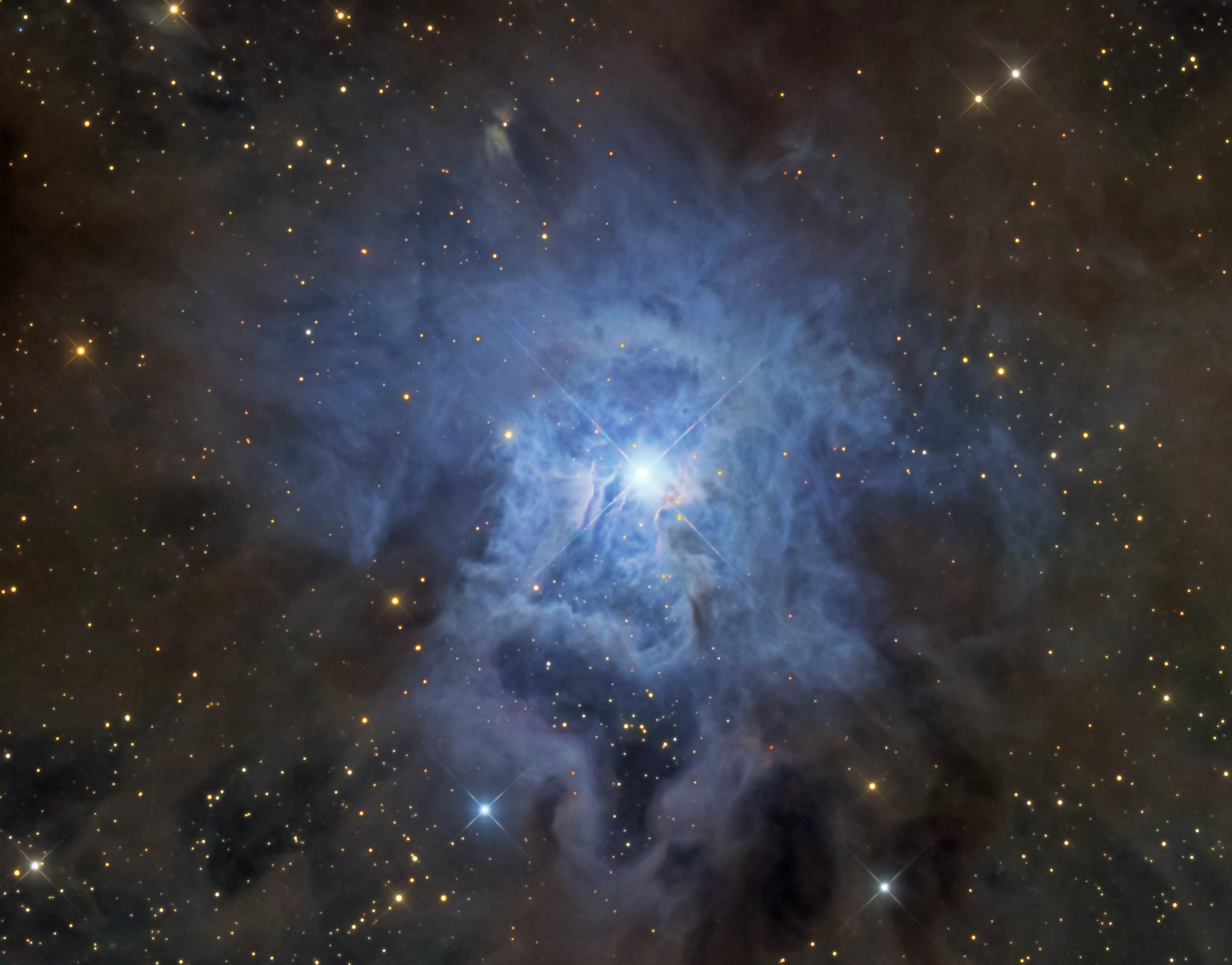 NGC 7023: The Iris Nebula
