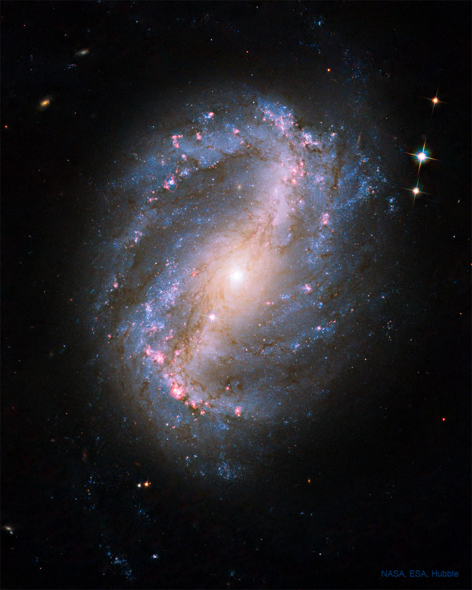 Barred Spiral Galaxy NGC 6217