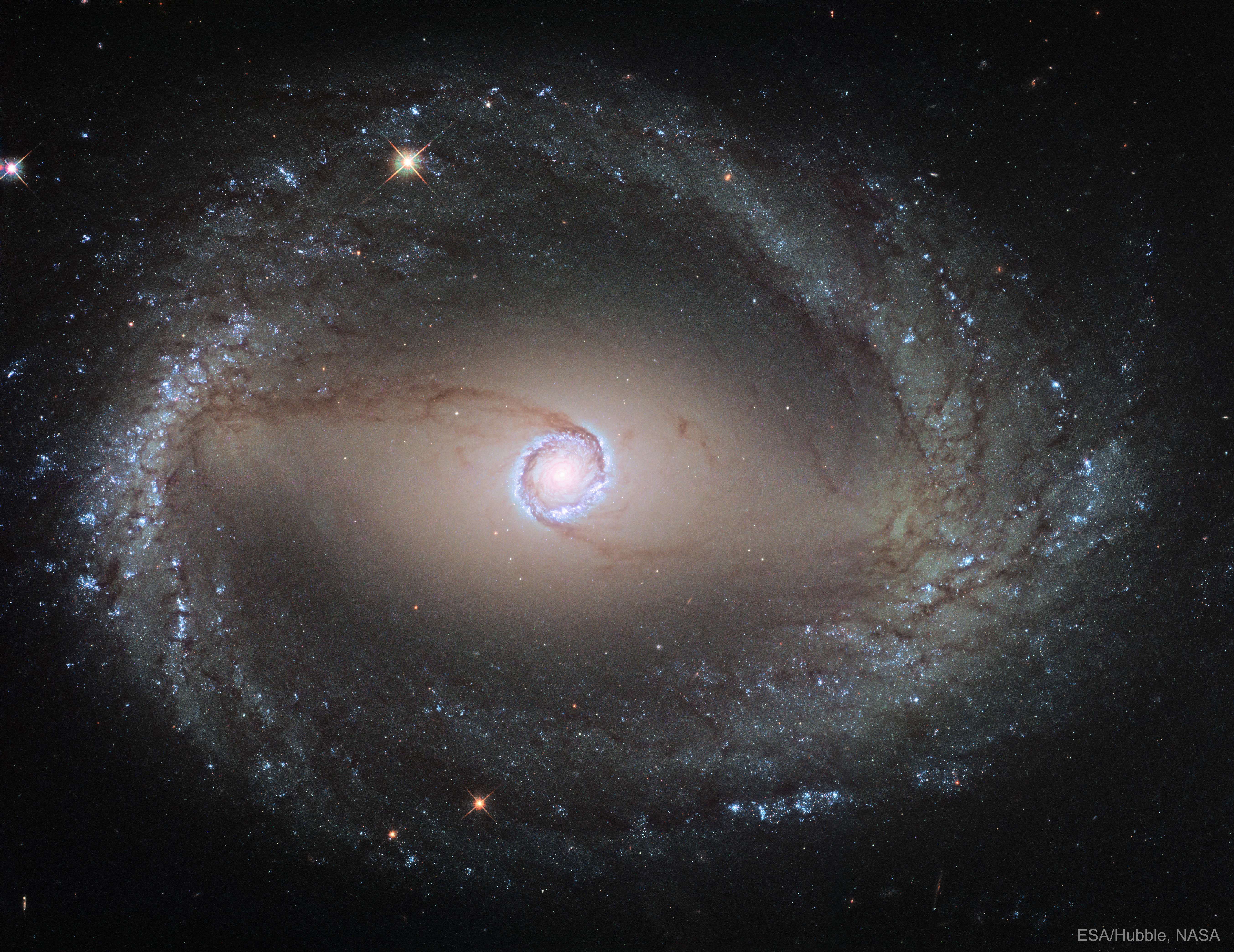 Spiral Galaxy NGC 1512: The Inner Rings