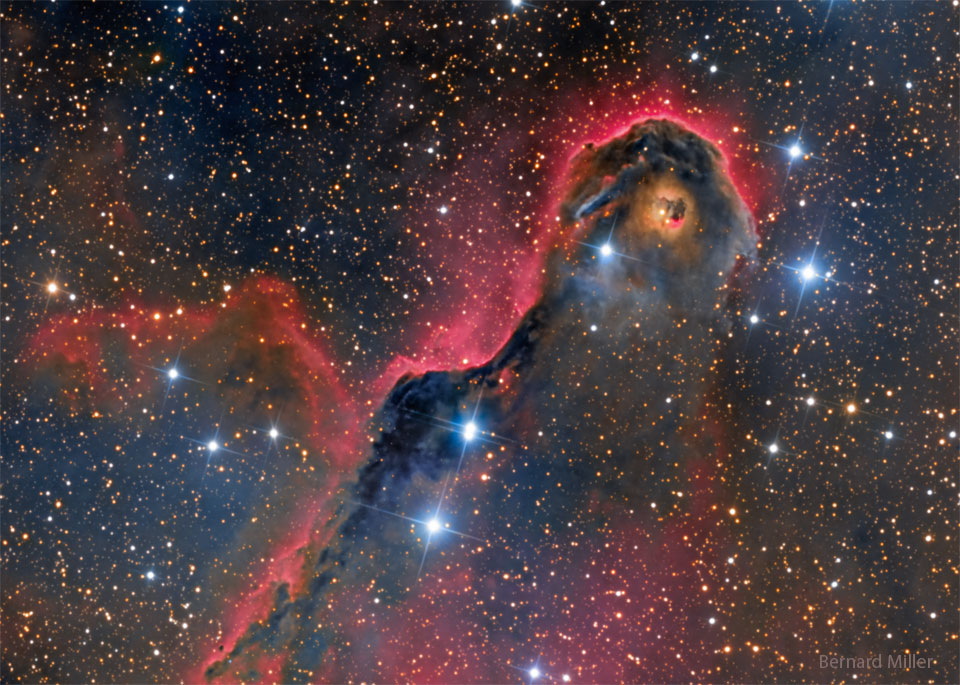 An Unusual Globule in IC 1396