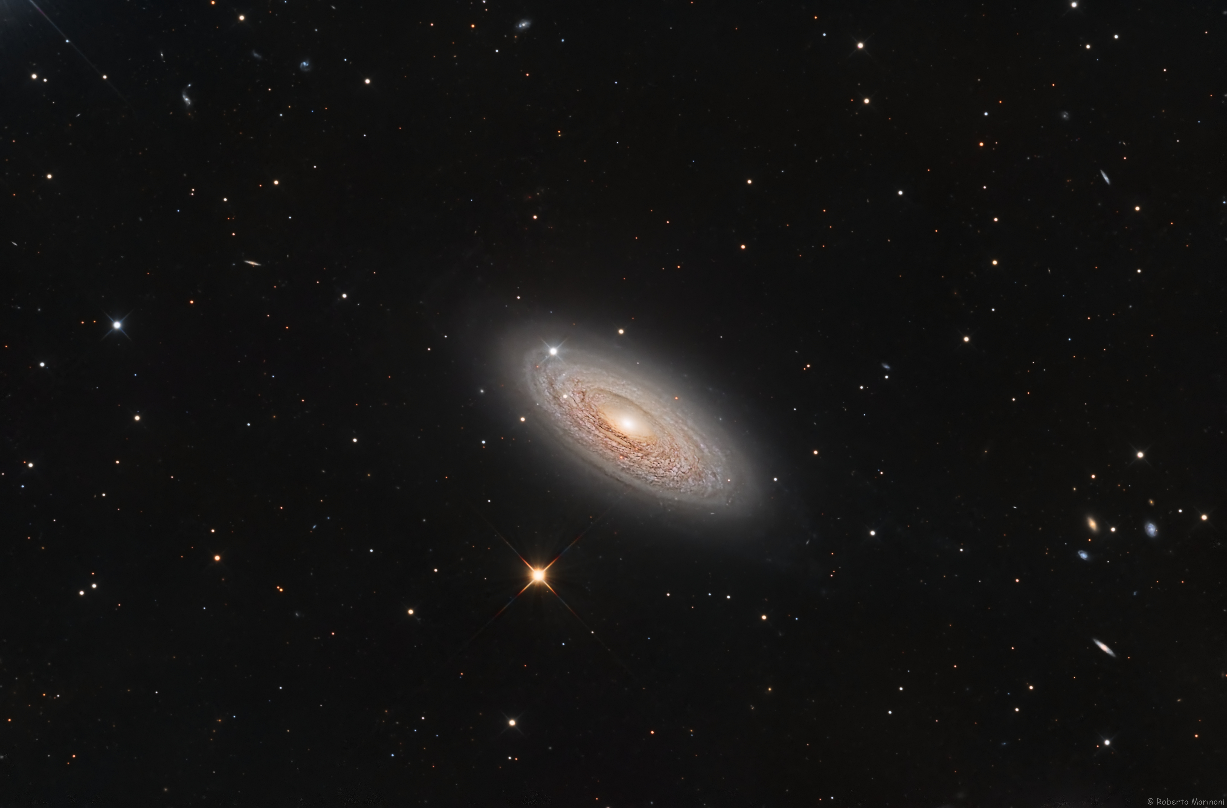 Spiral Galaxy NGC 2841