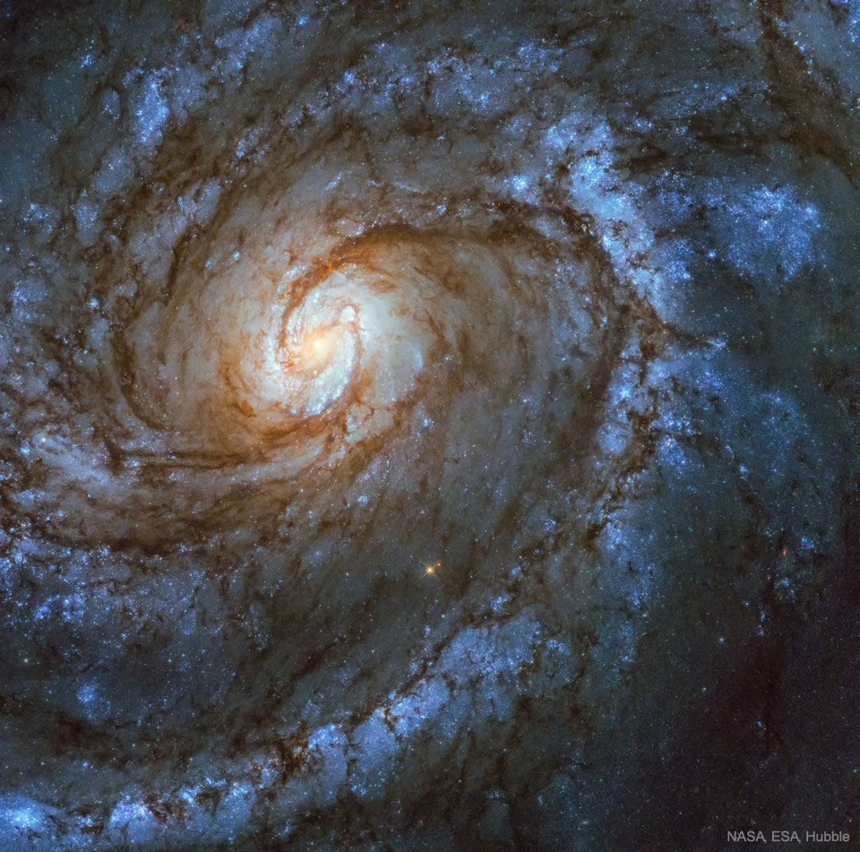 M100: A Grand Design Spiral Galaxy