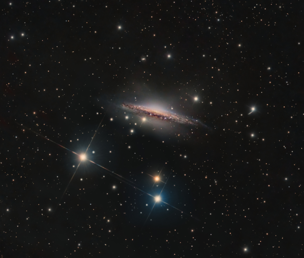 Portrait of NGC 1055