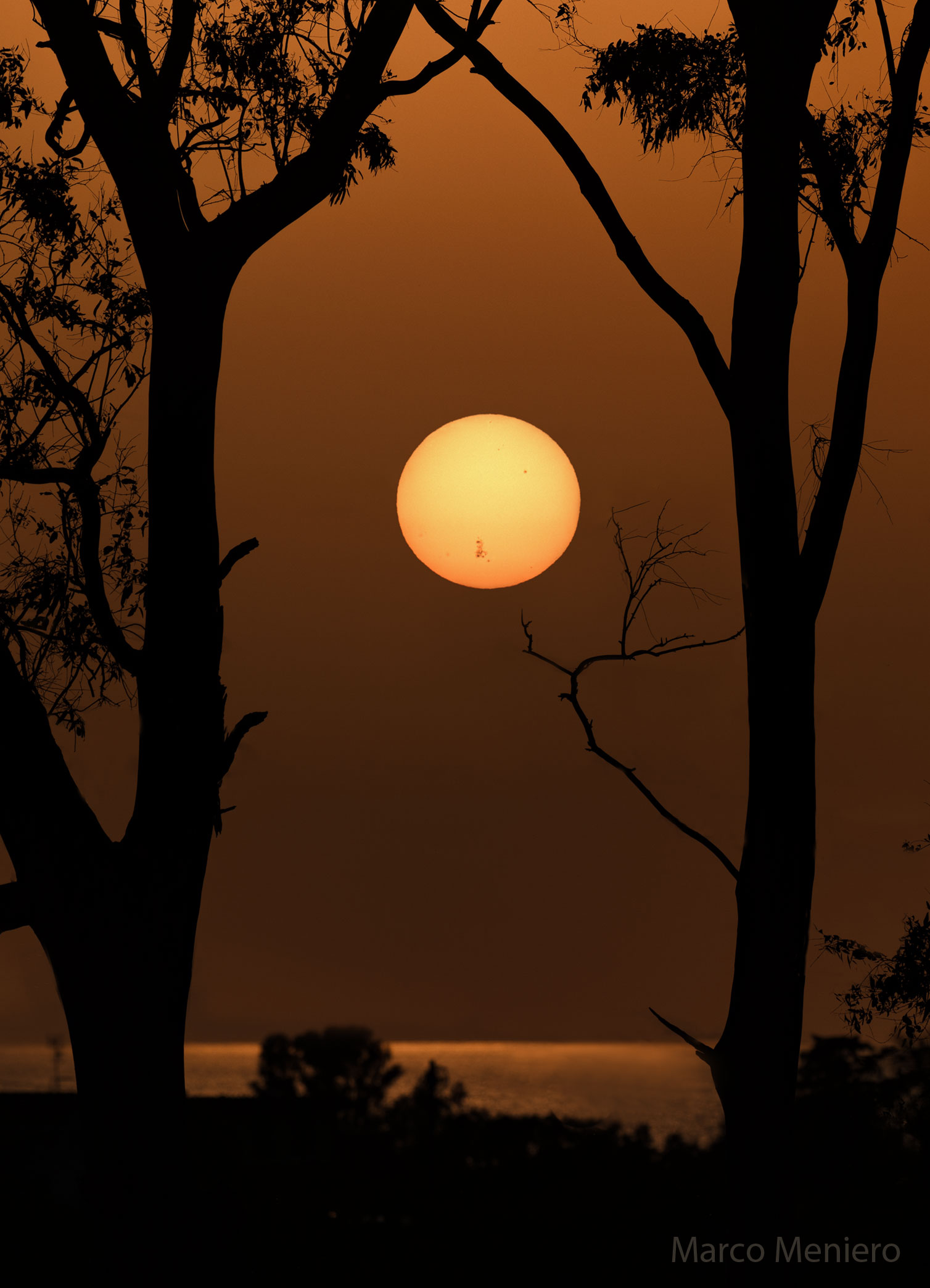 AR 3664 on a Setting Sun