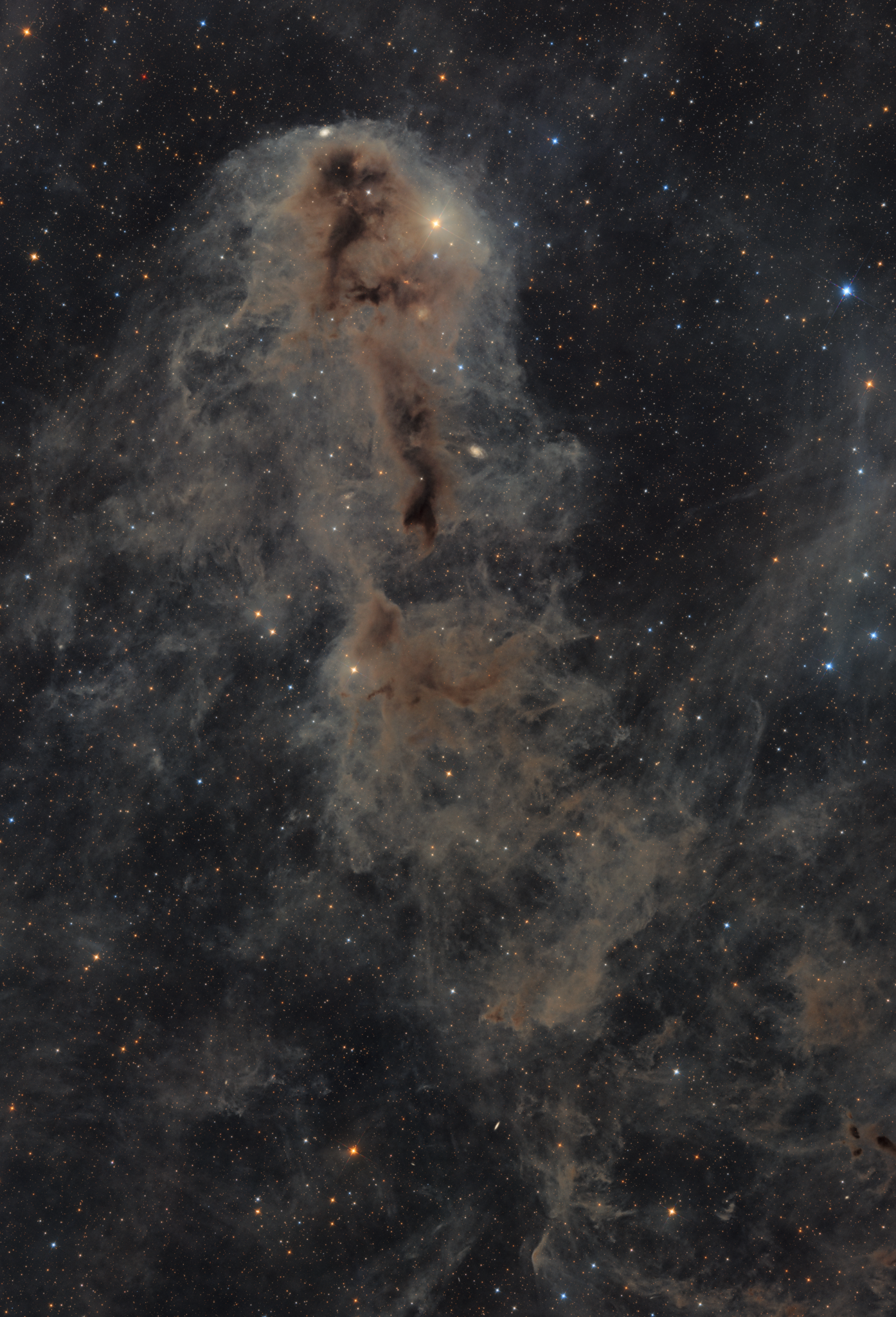 Lynds Dark Nebula 1251