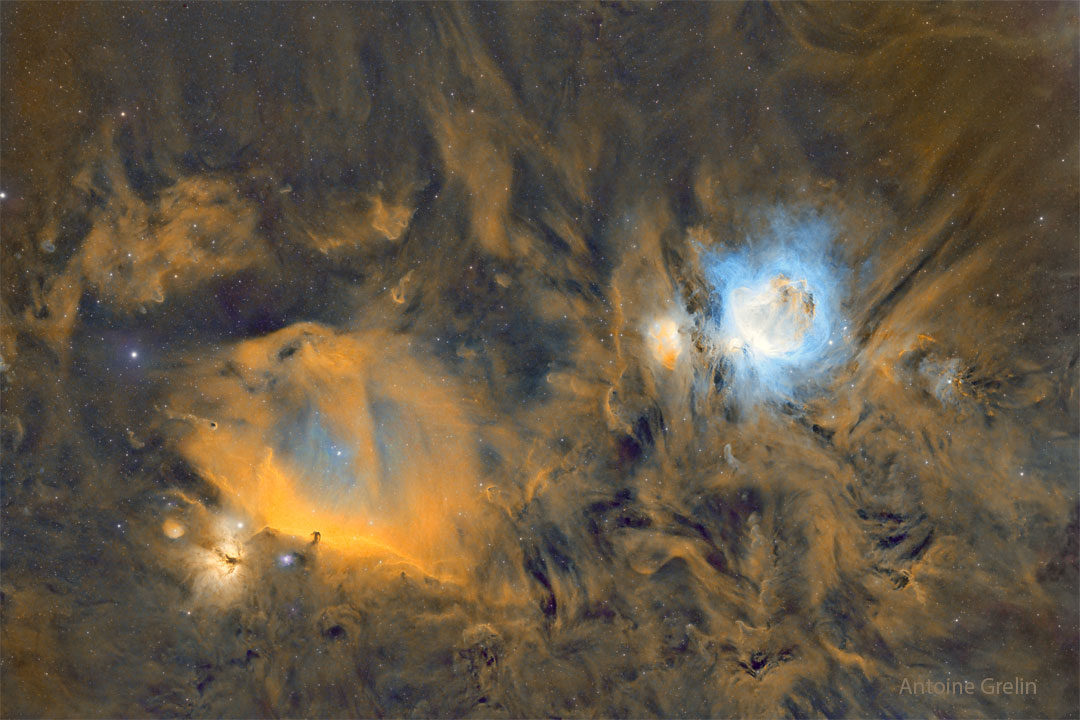 Horsehead and Orion Nebulas