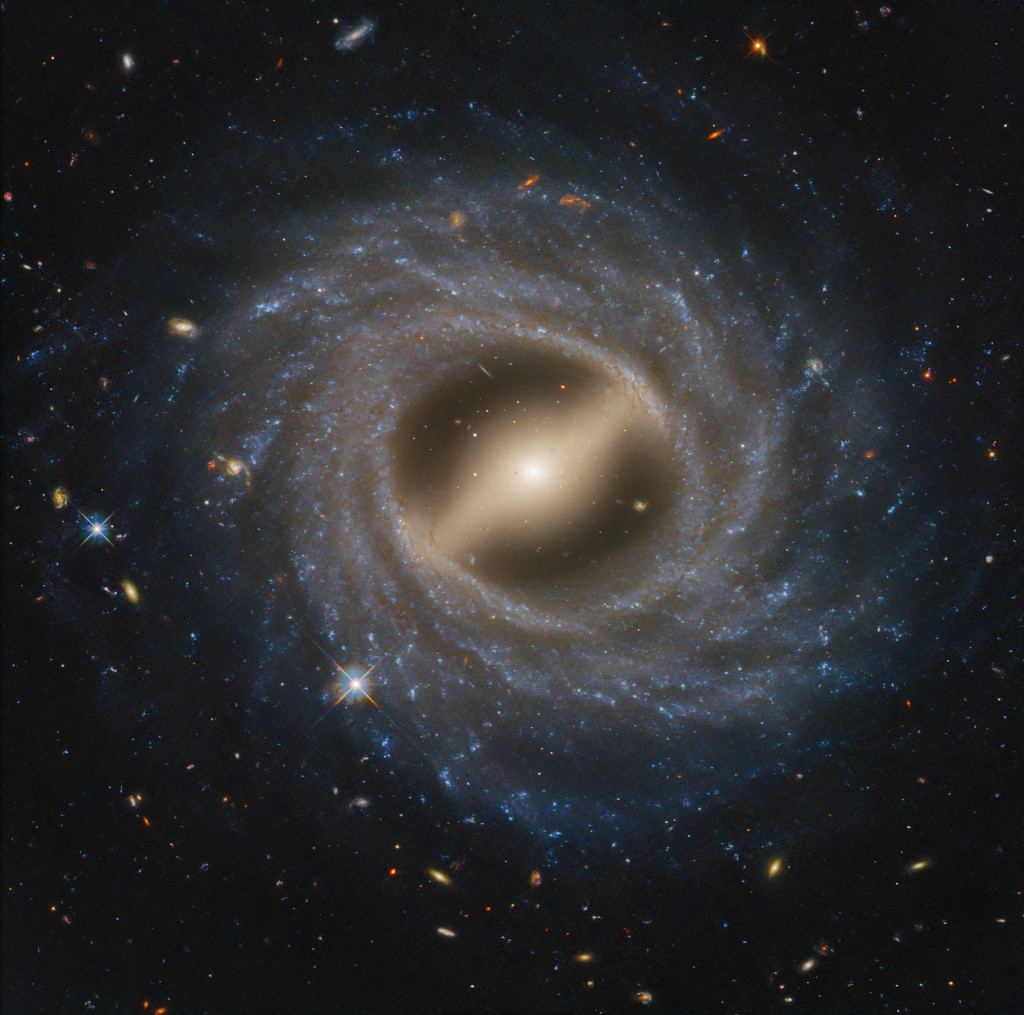 Barred Spiral Galaxy NGC 5335