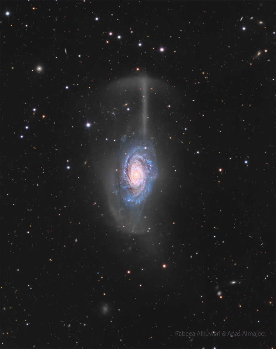 NGC 4651: The Umbrella Galaxy