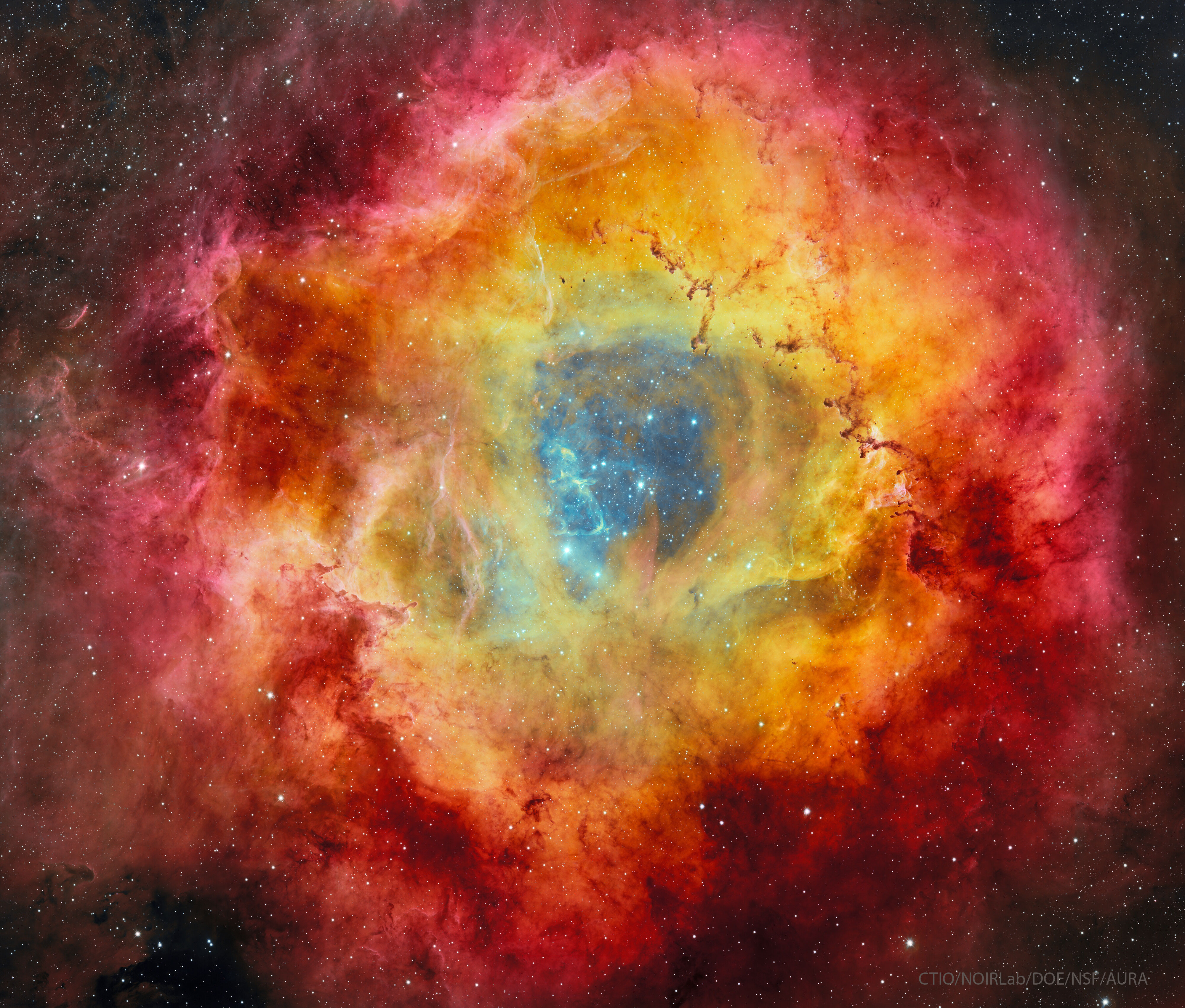 The Rosette Nebula from DECam