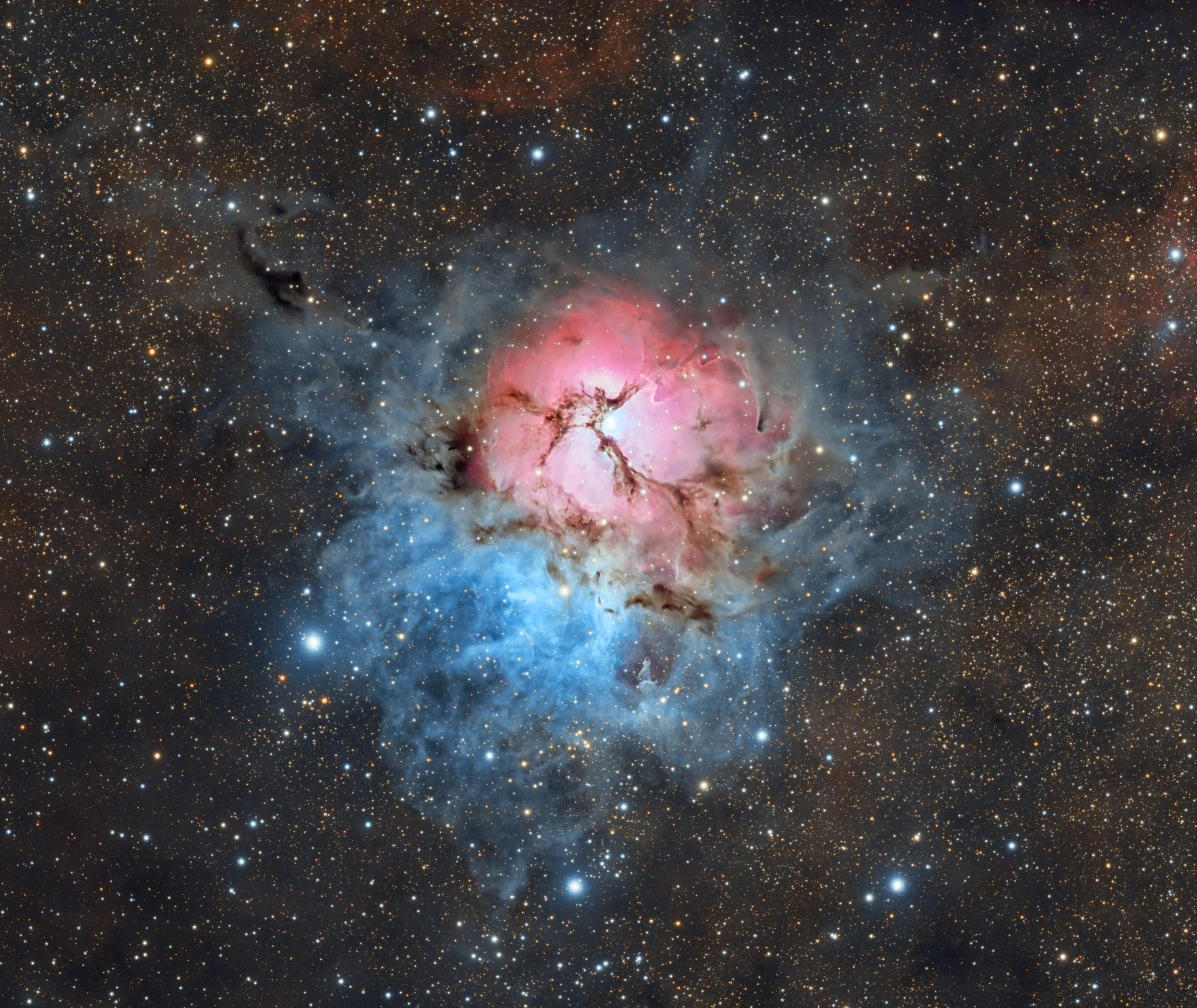 A Beautiful Trifid