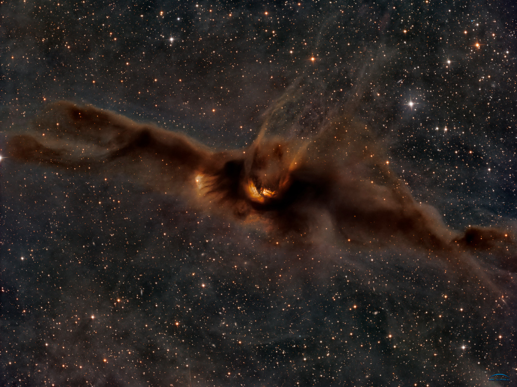 Lynds Dark Nebula 43