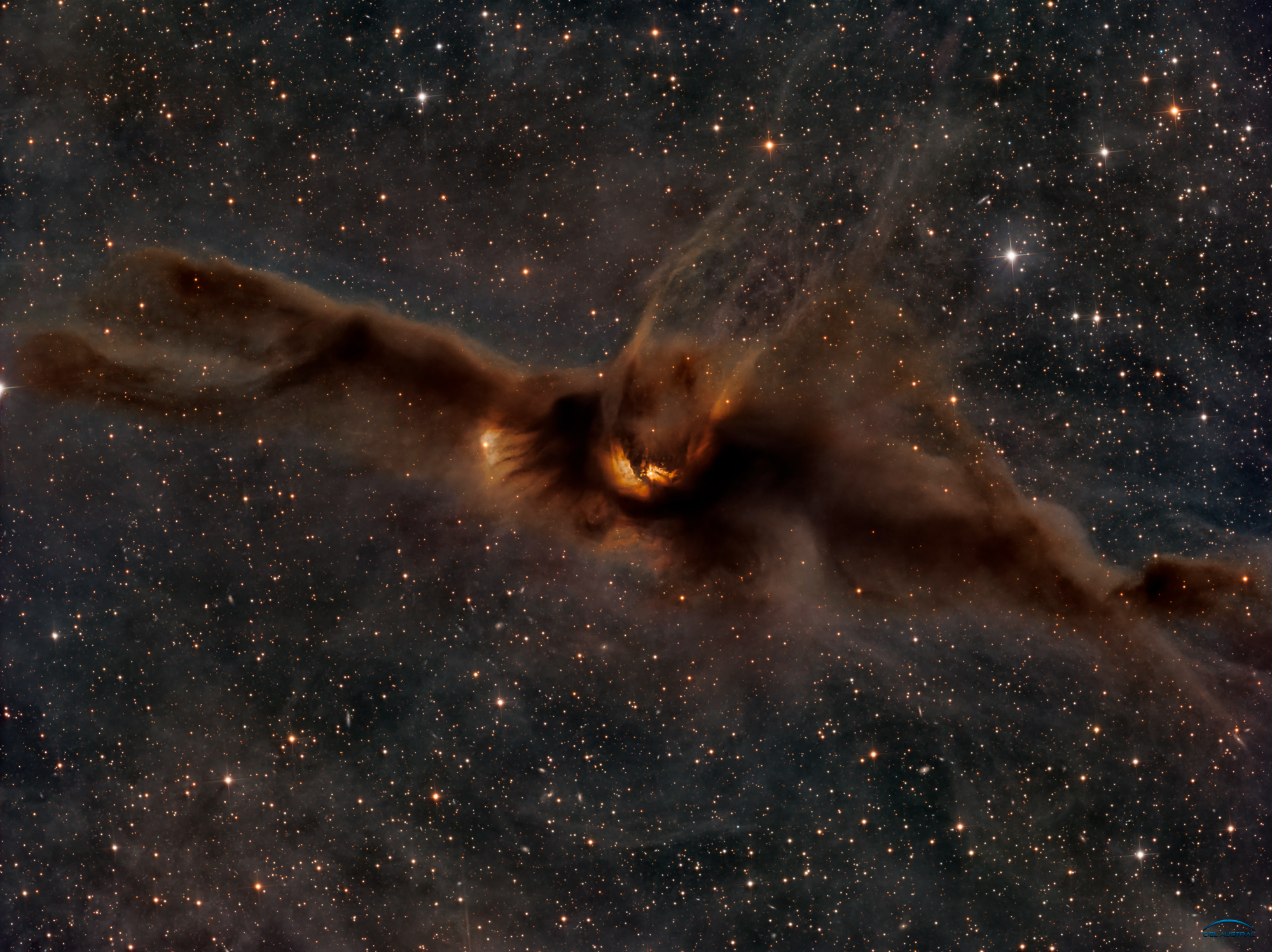 Lynds Dark Nebula 43