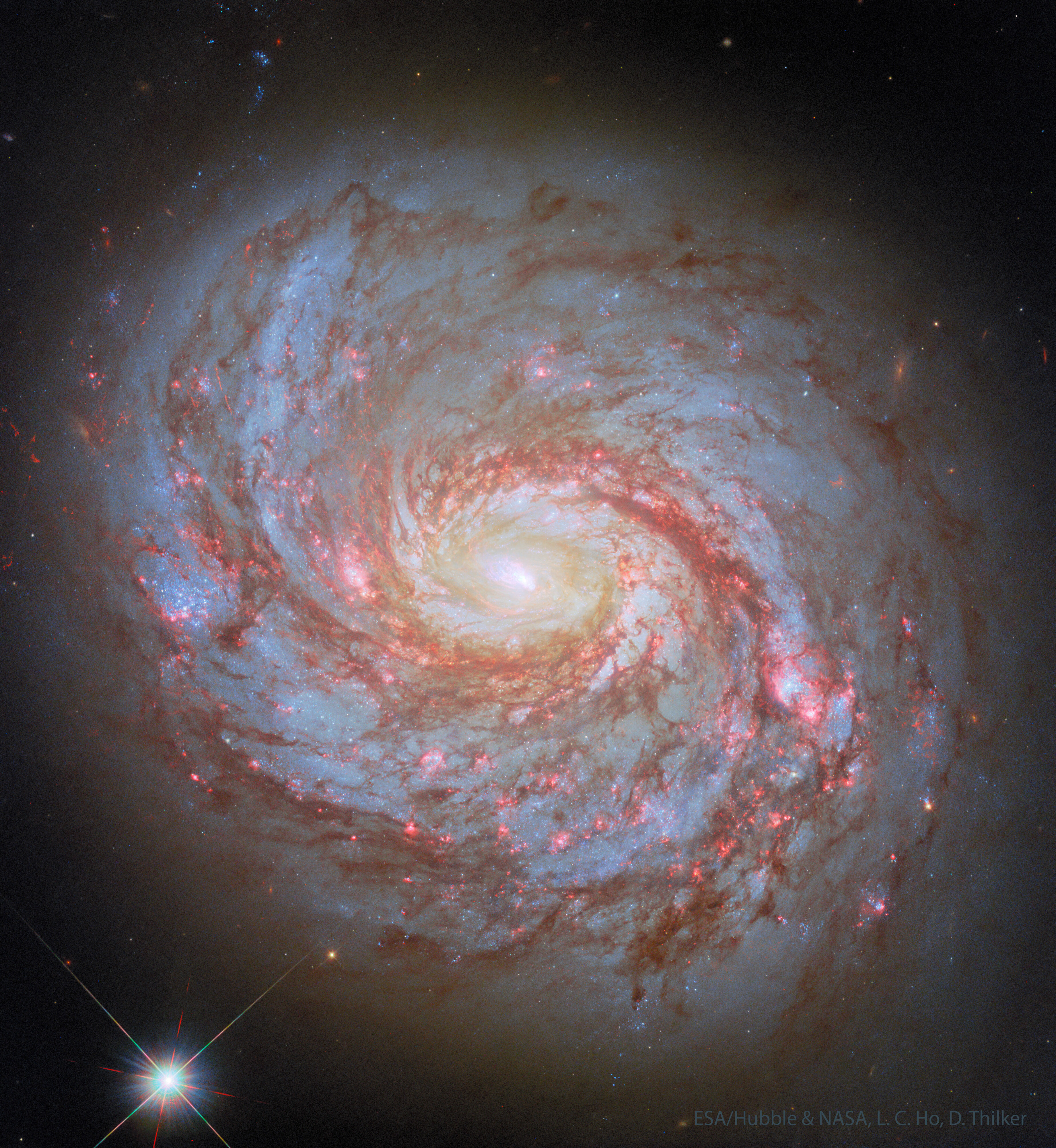 M77: Spiral Galaxy with an Active Center