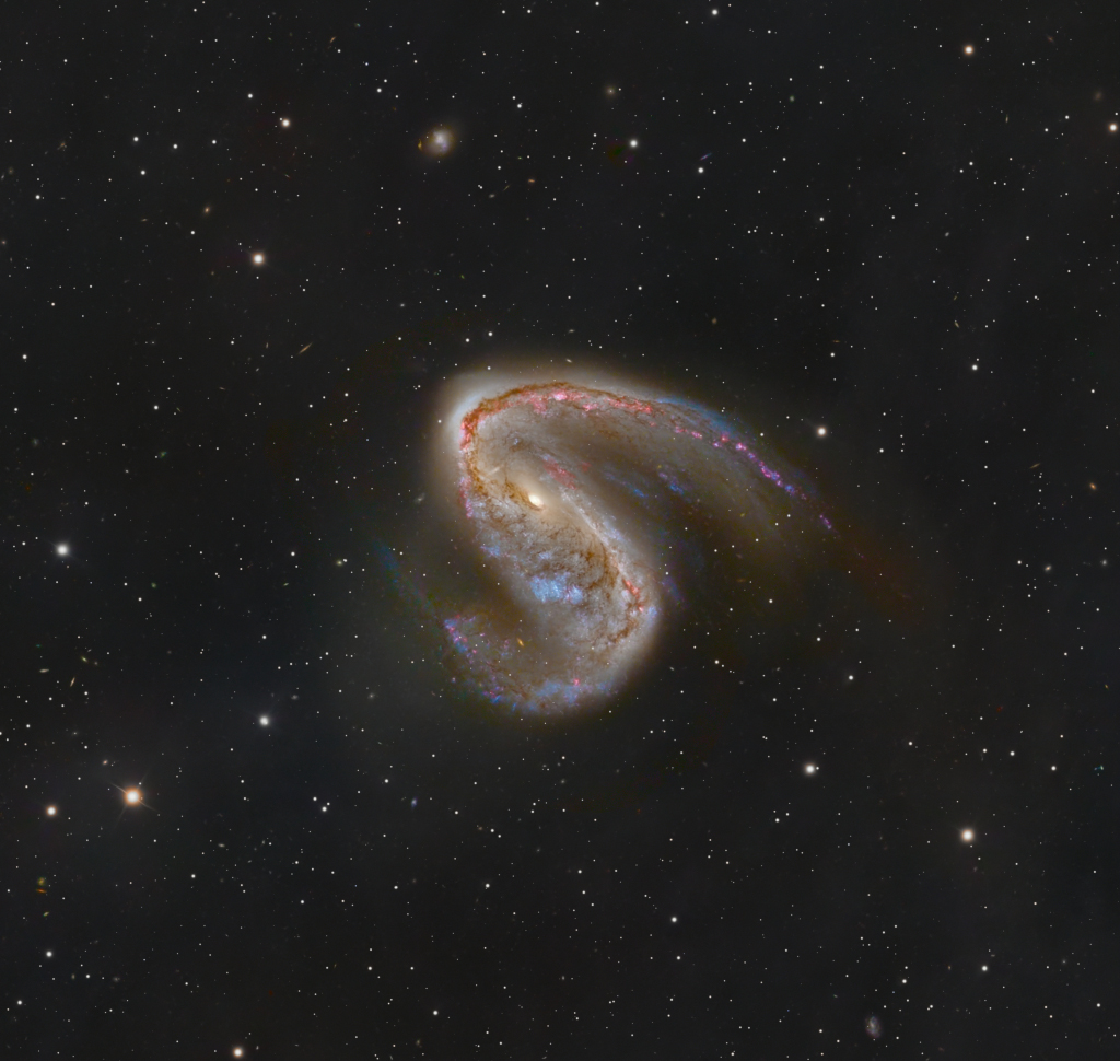 NGC 2442: Galaxy in Volans