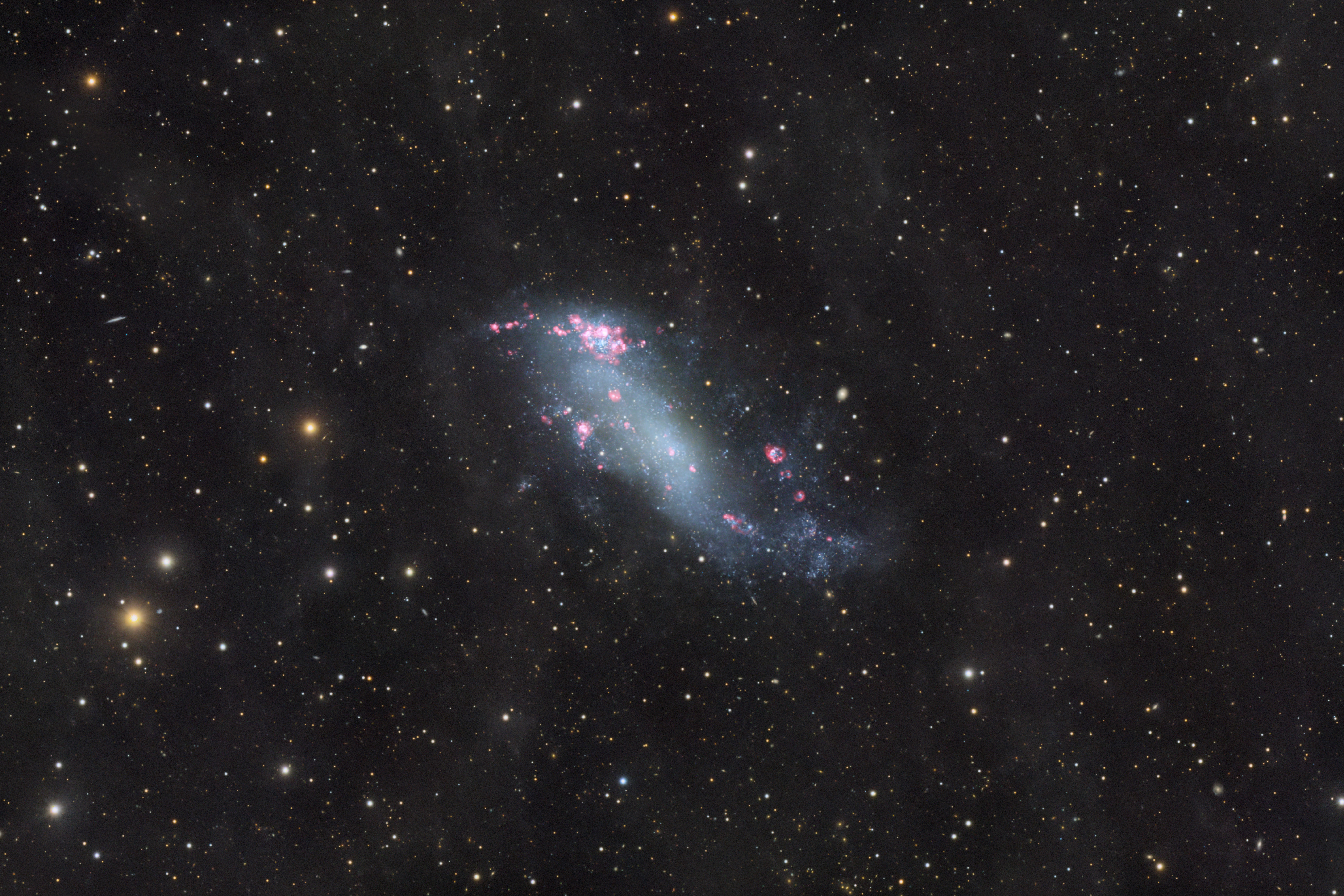 IC 2574: Coddington's Nebula