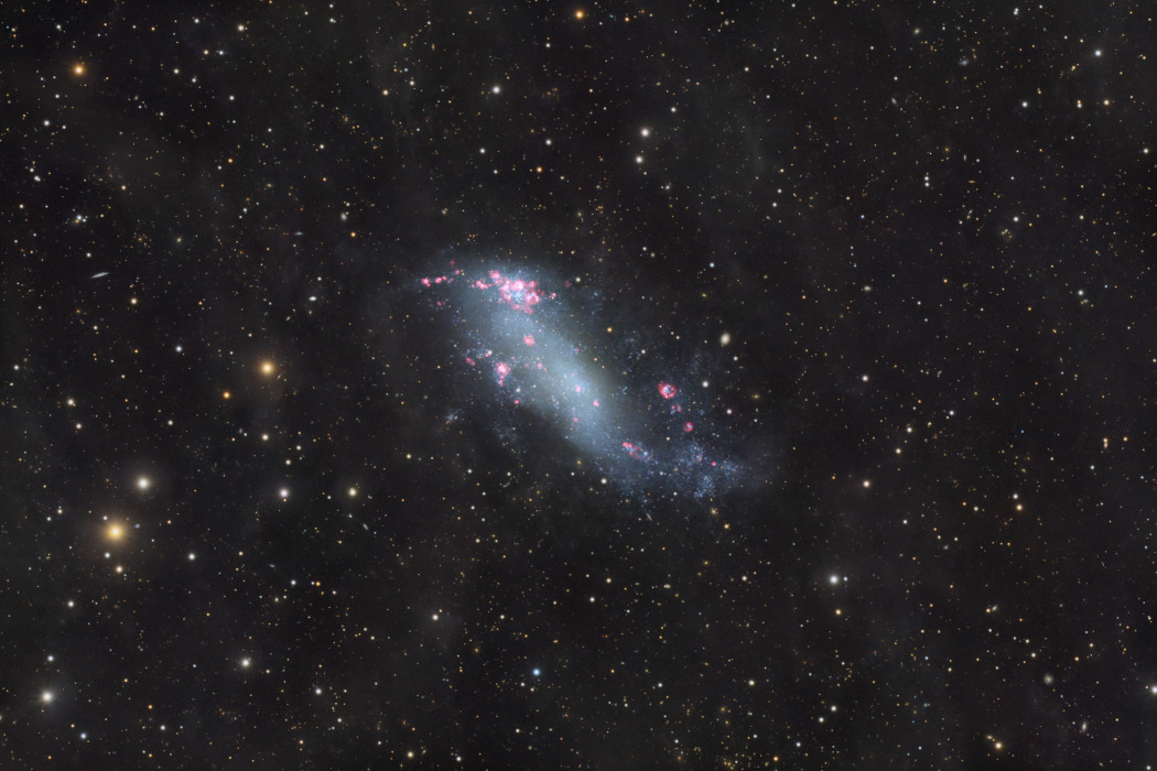 IC 2574: Coddington's Nebula