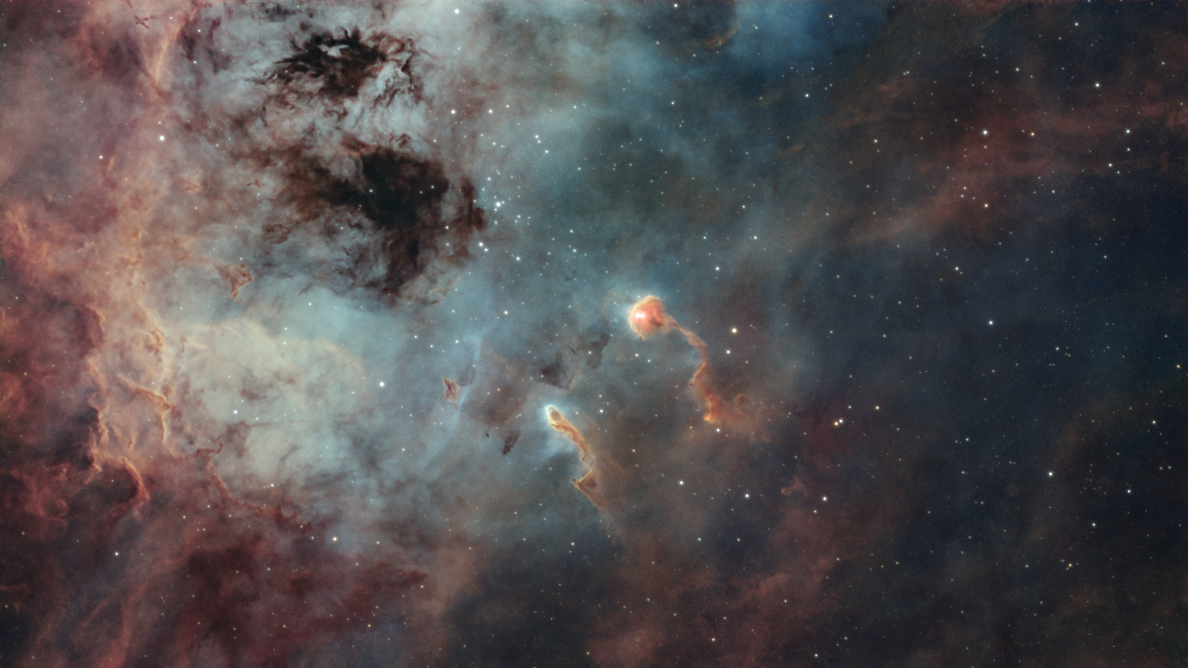 The Tadpoles of IC 410