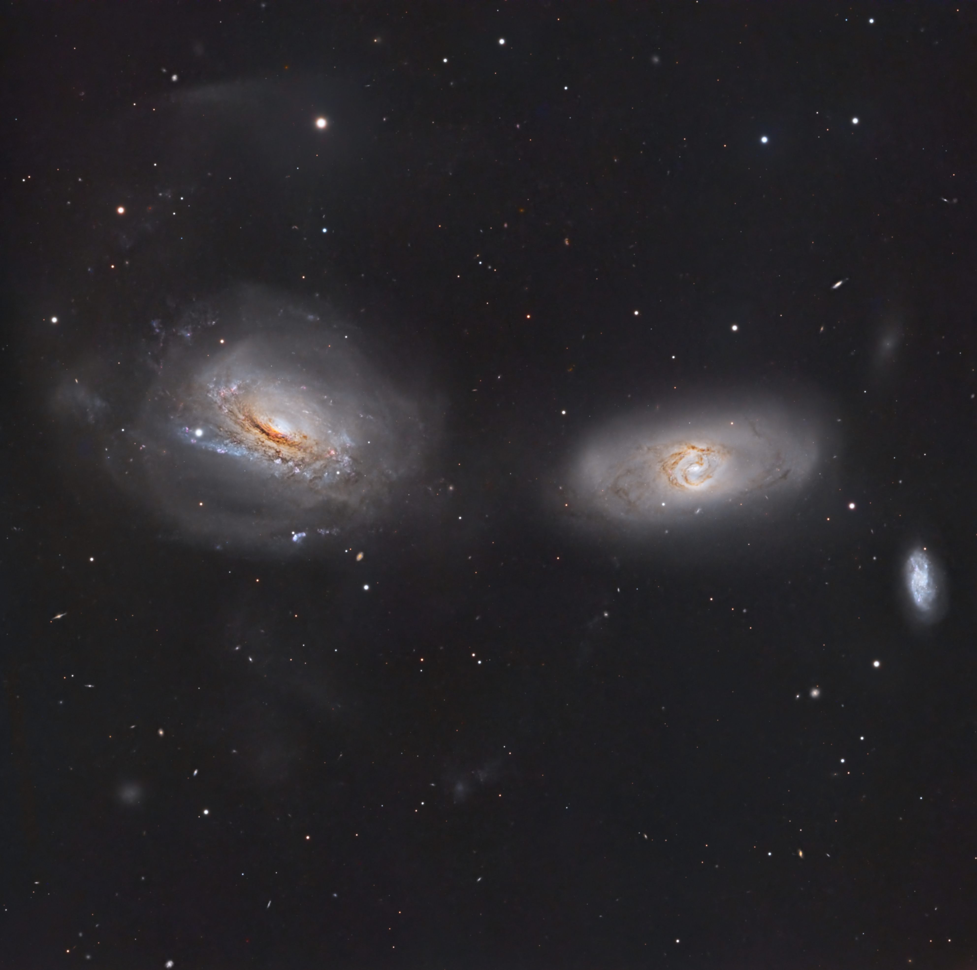 Unraveling NGC 3169