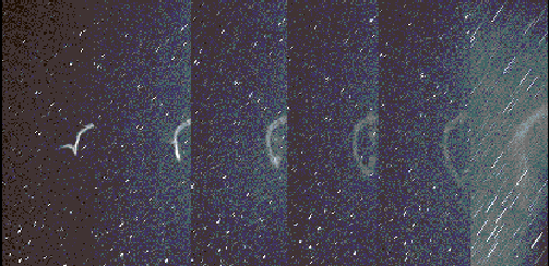 The Leonid Meteor Shower (Tonight)
Credit: