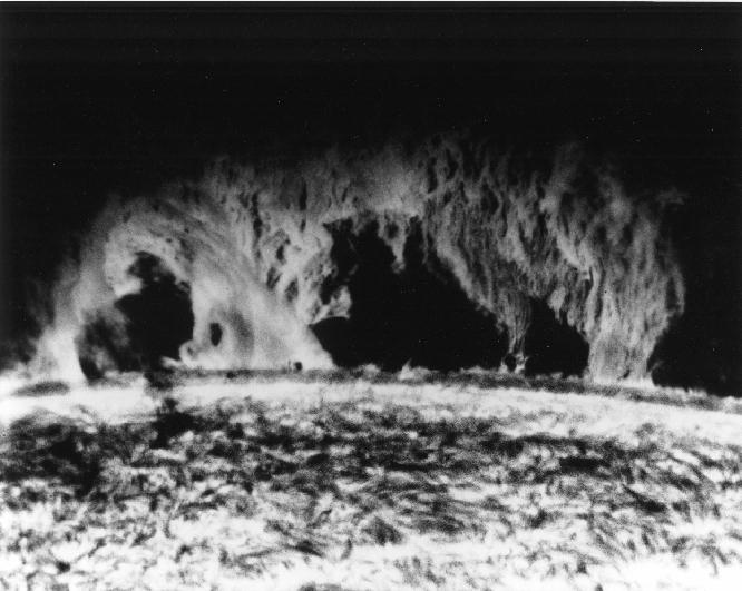 A Prominent Solar Prominence