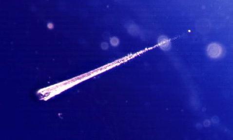 Catching Falling Stardust
Credit: