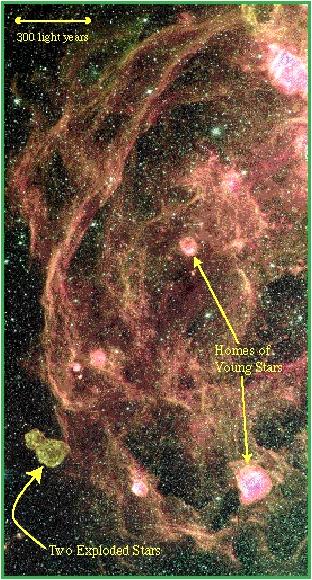 Stellar Laboratories in the LMC